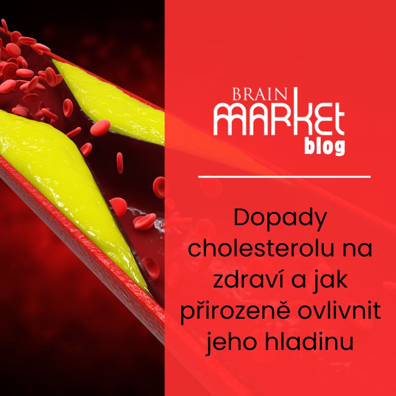 Dopady cholesterolu na zdraví a jak přirozeně ovlivnit jeho hladinu