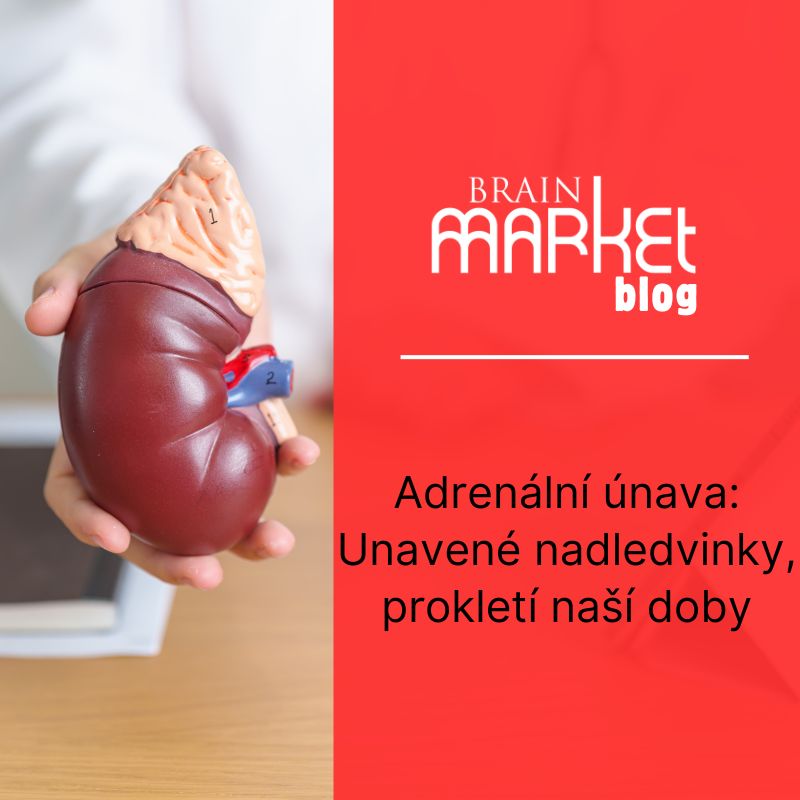 Adrenální únava: Unavené nadledvinky, prokletí naší doby