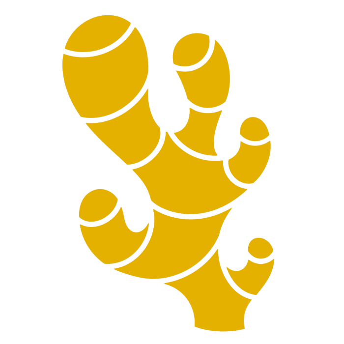 ginger_ikonka.png