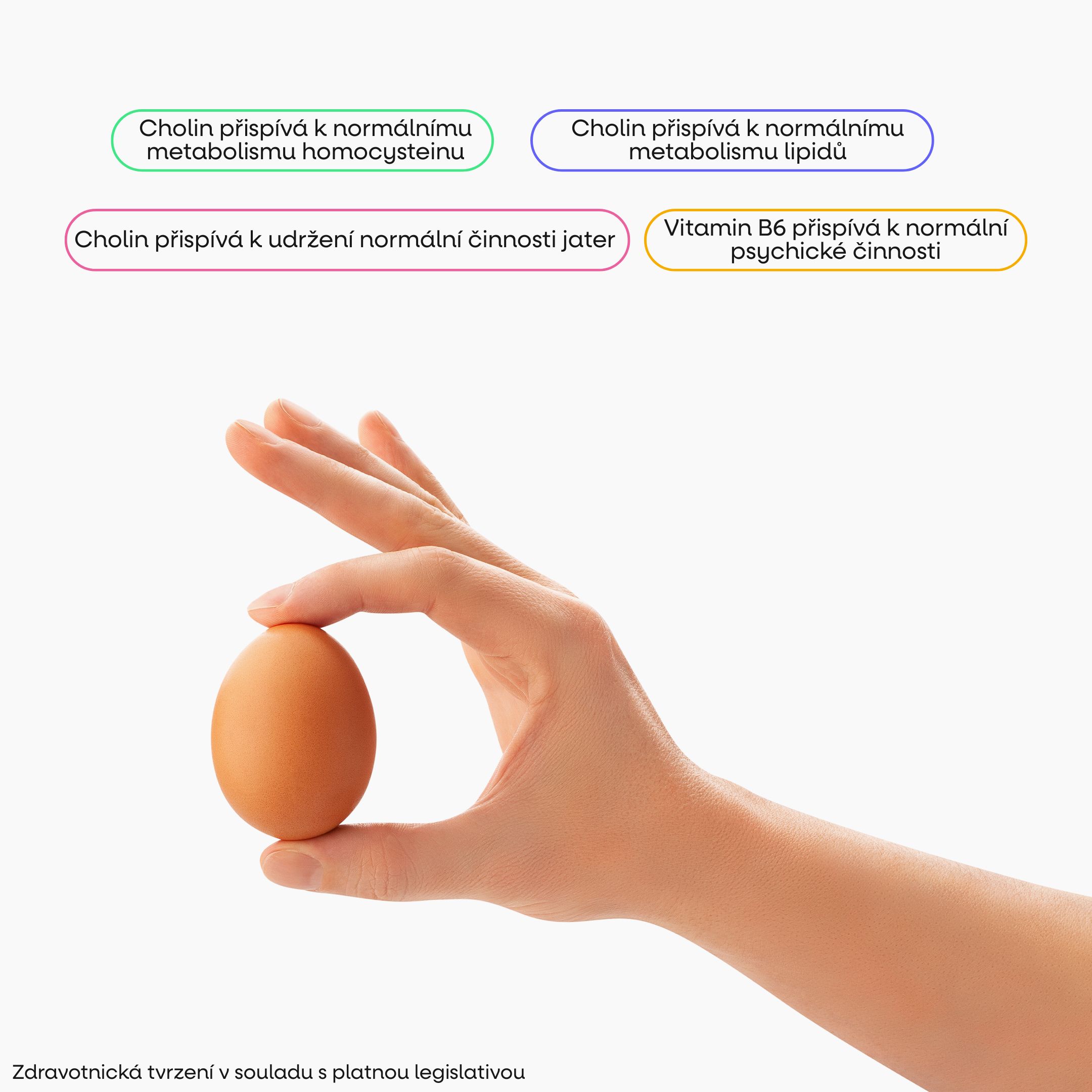 BrainMax VitaCholine® & Inositol, 100 rostlinných kapslí