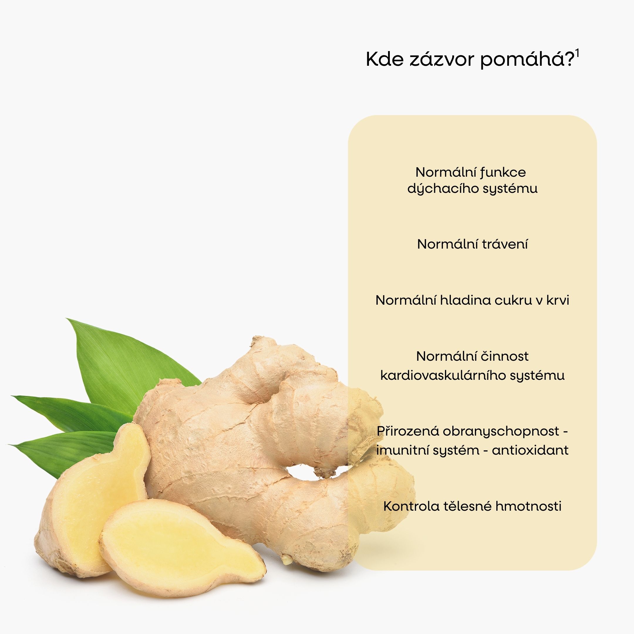 2 zázvor info