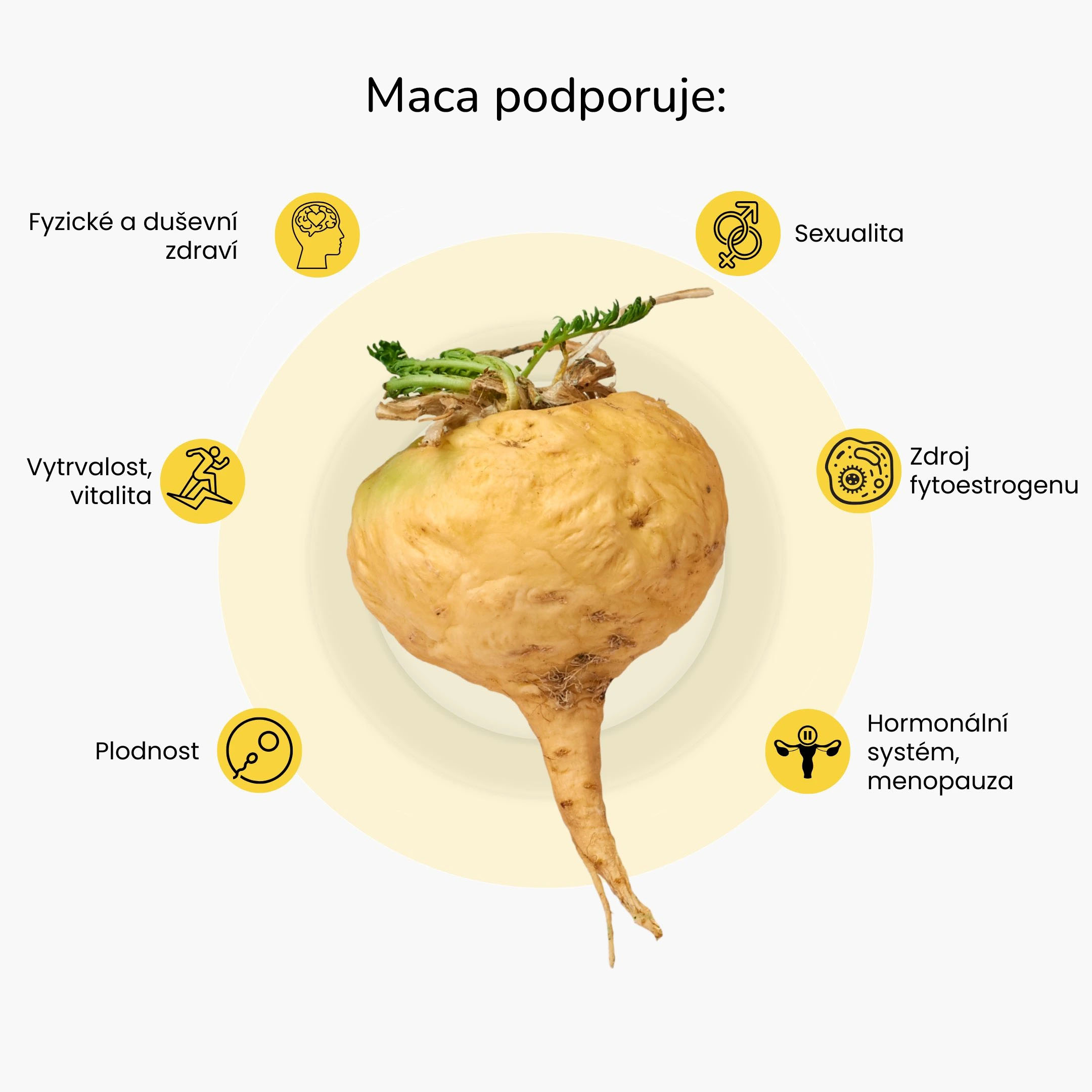 maca infografika