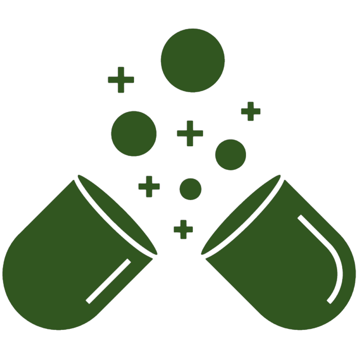 avokado3
