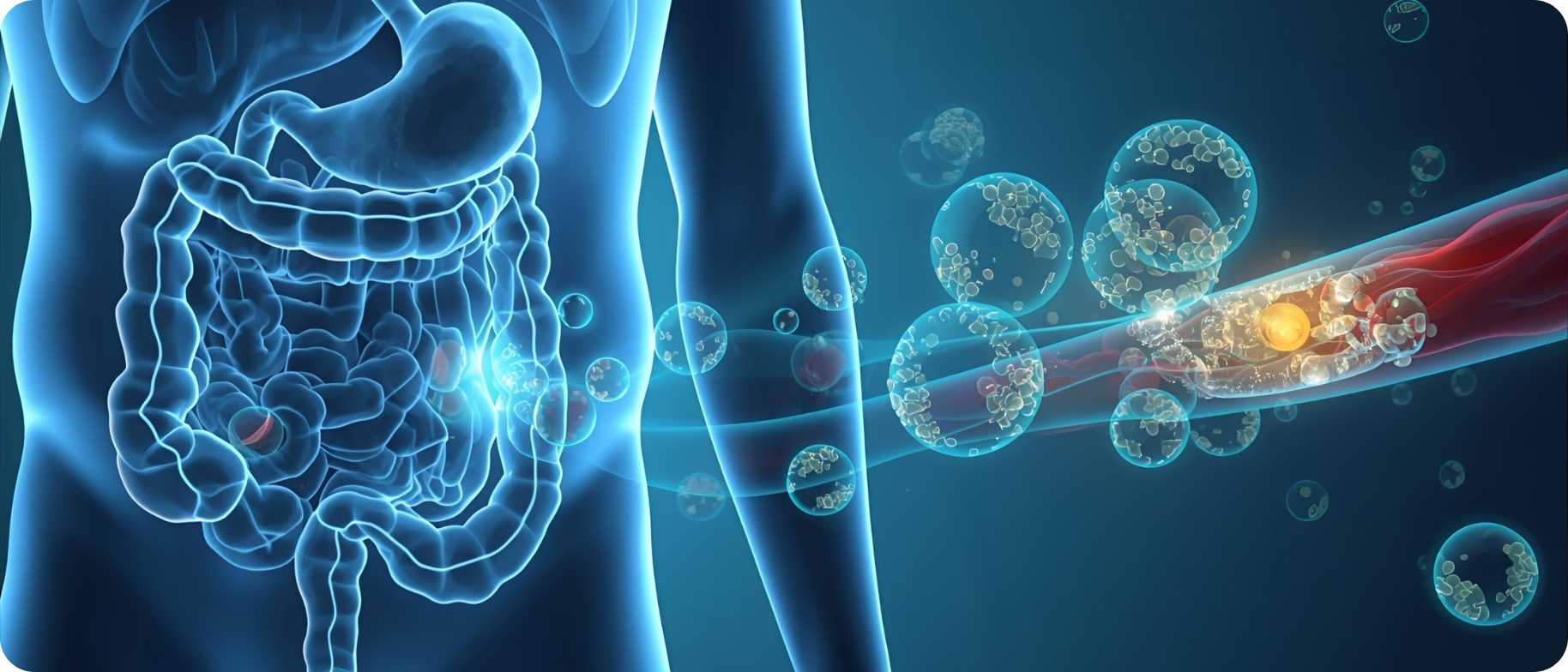 LIPOZOMAL TELO