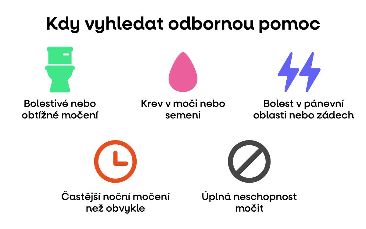 kdy vyhledat pomoc prostat