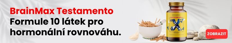 Testamento