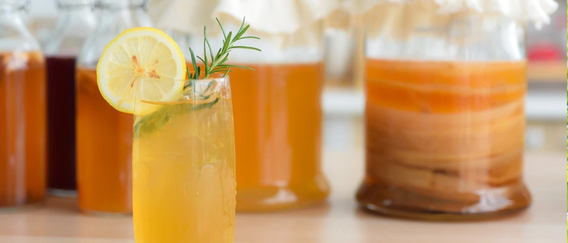 kombucha drink návod na výrobu a pěstování