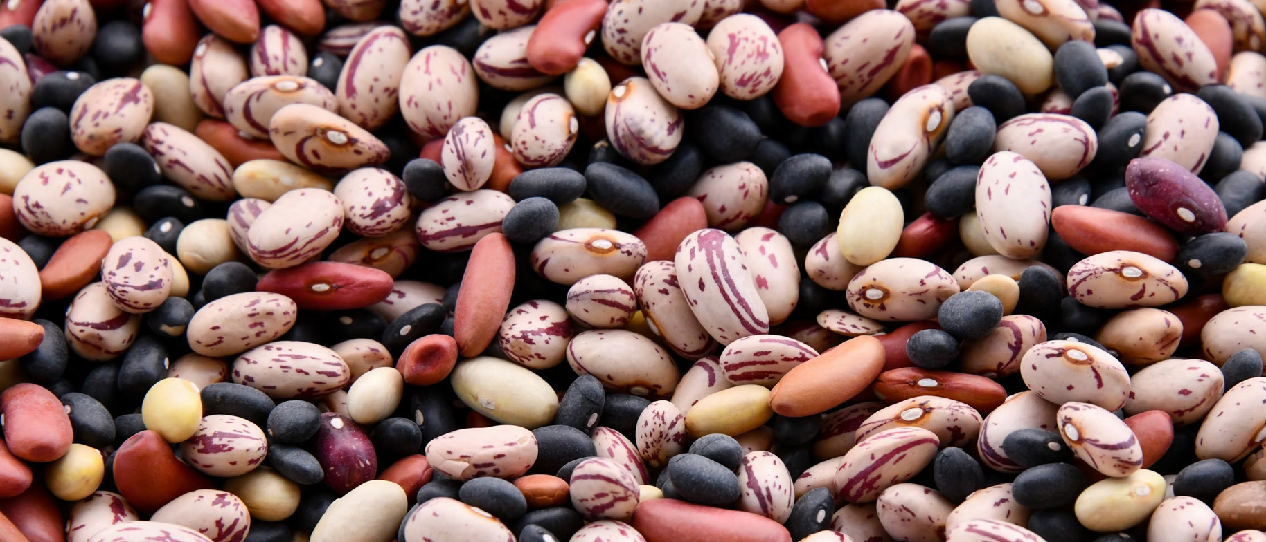 svatový den luštěnin a kdy se slaví