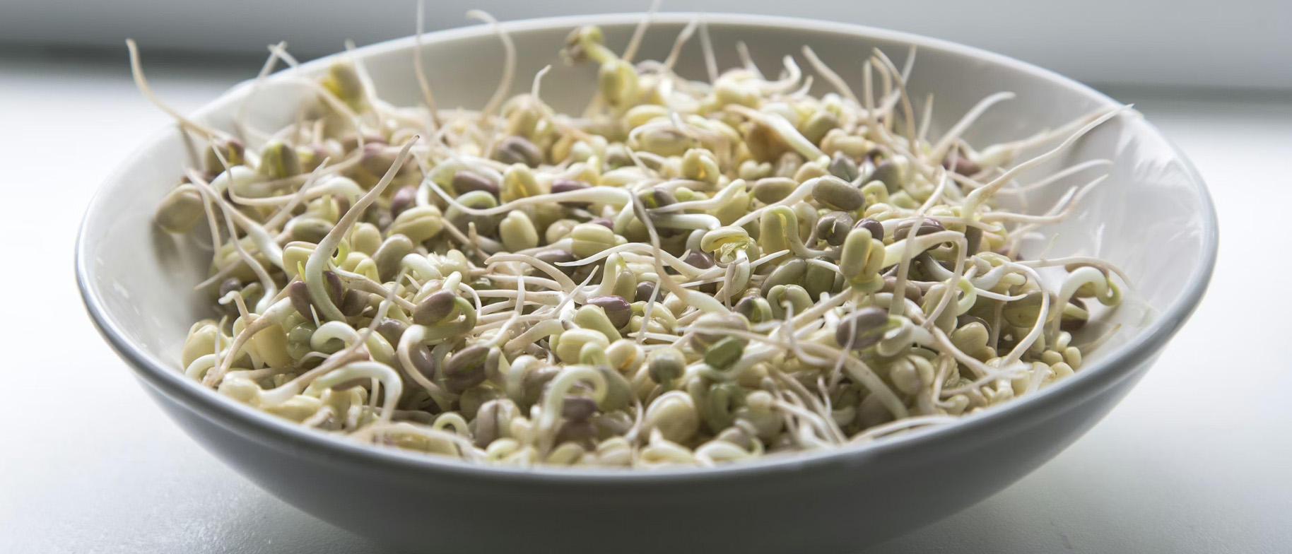 sezonní stravování a klíčky