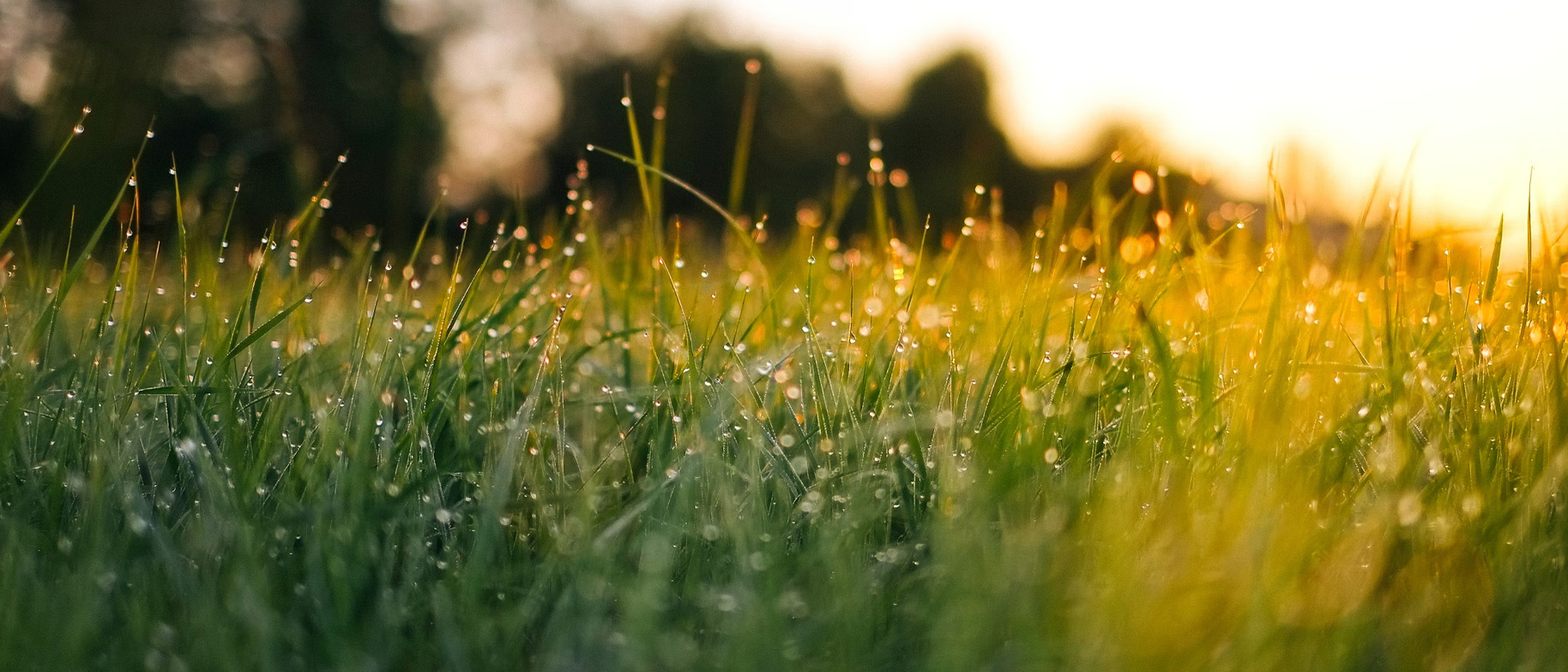 co když nemůžu usnout