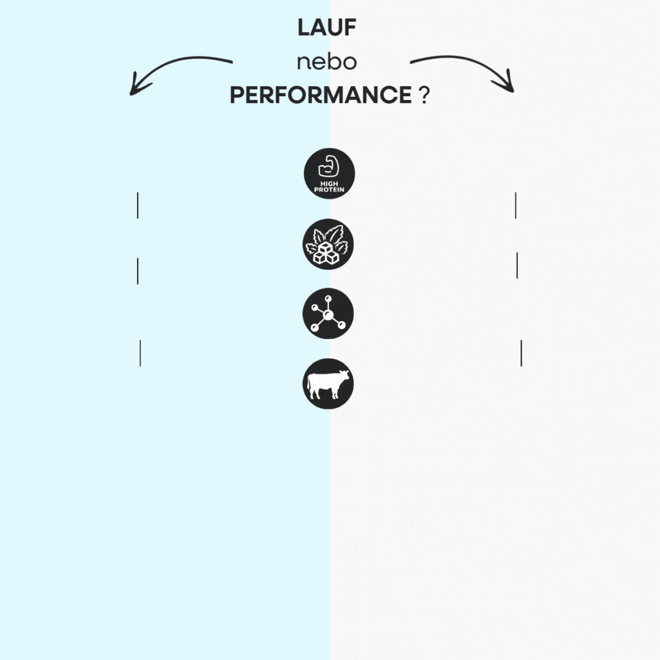LAUF vs Performance Protein