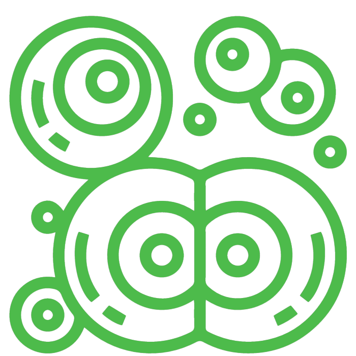 cerebellum3