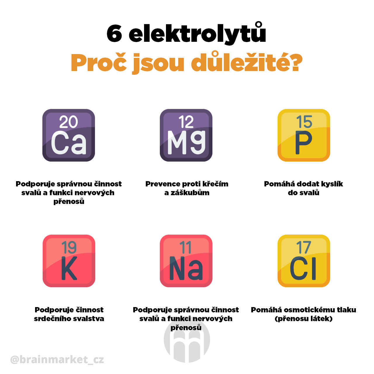 6_elektrolytu_infografika_brainmarket_CZ