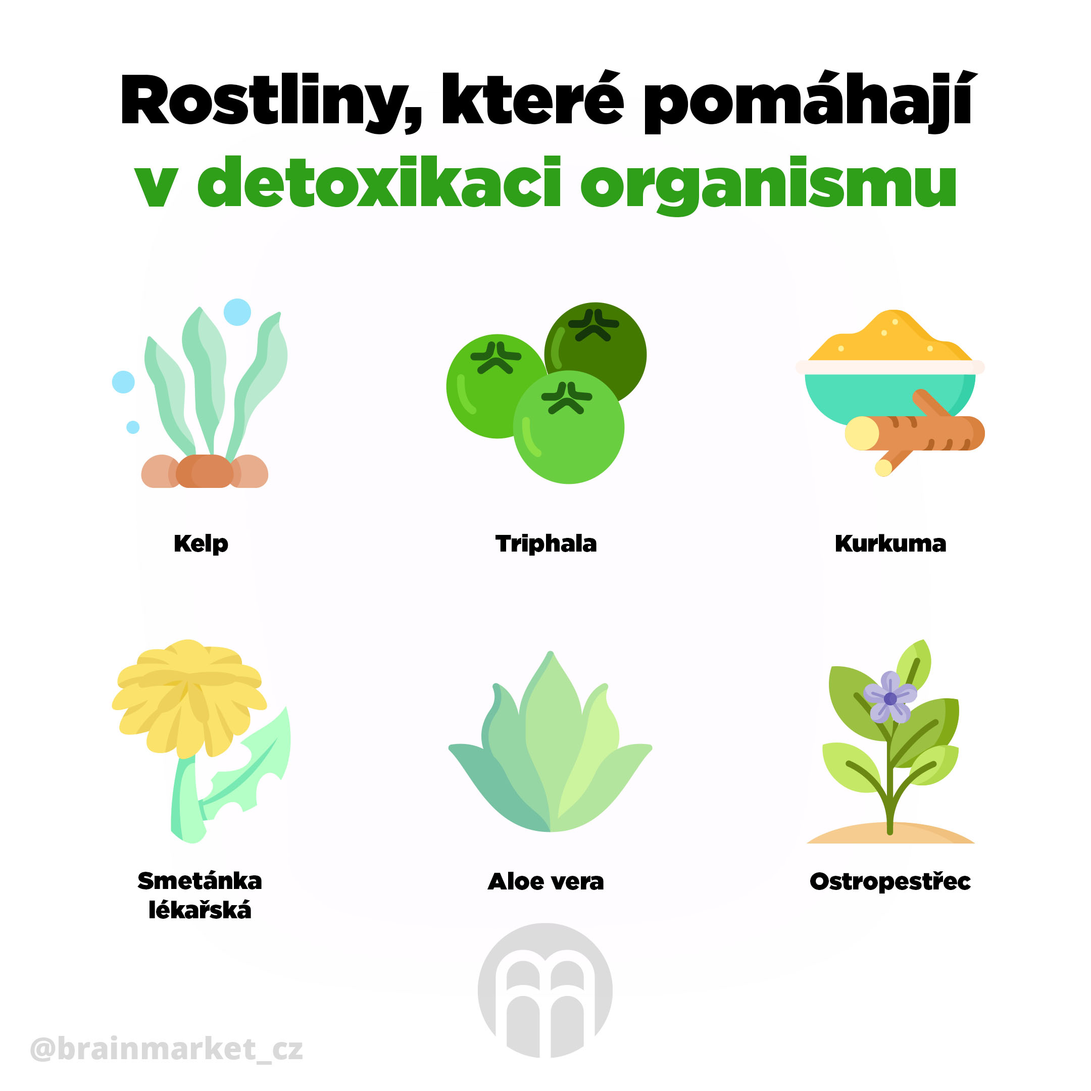 detoxikace_organismu_blog-infografika_brainmarket_cz