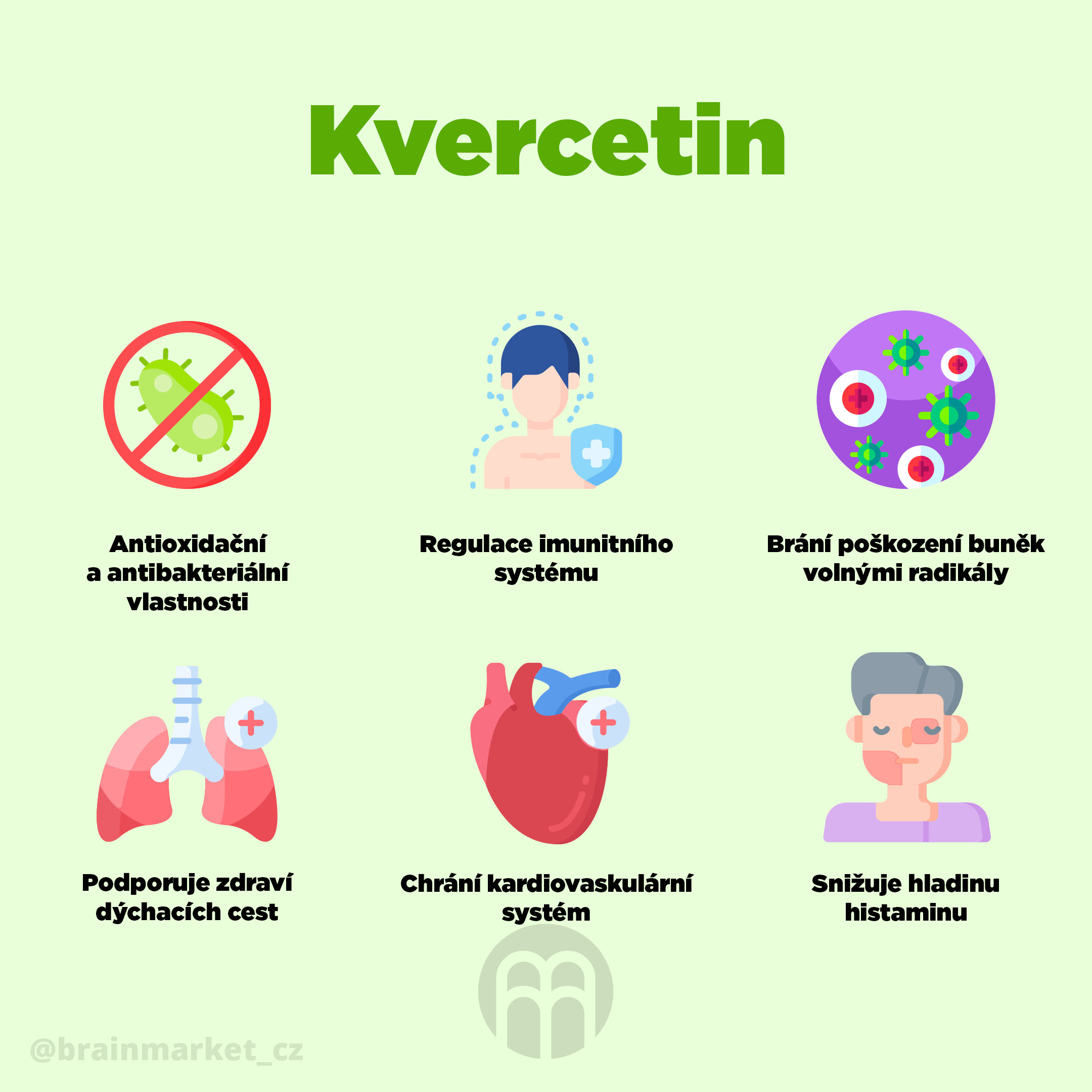 kvercetin_infografika_brainmarket_cz