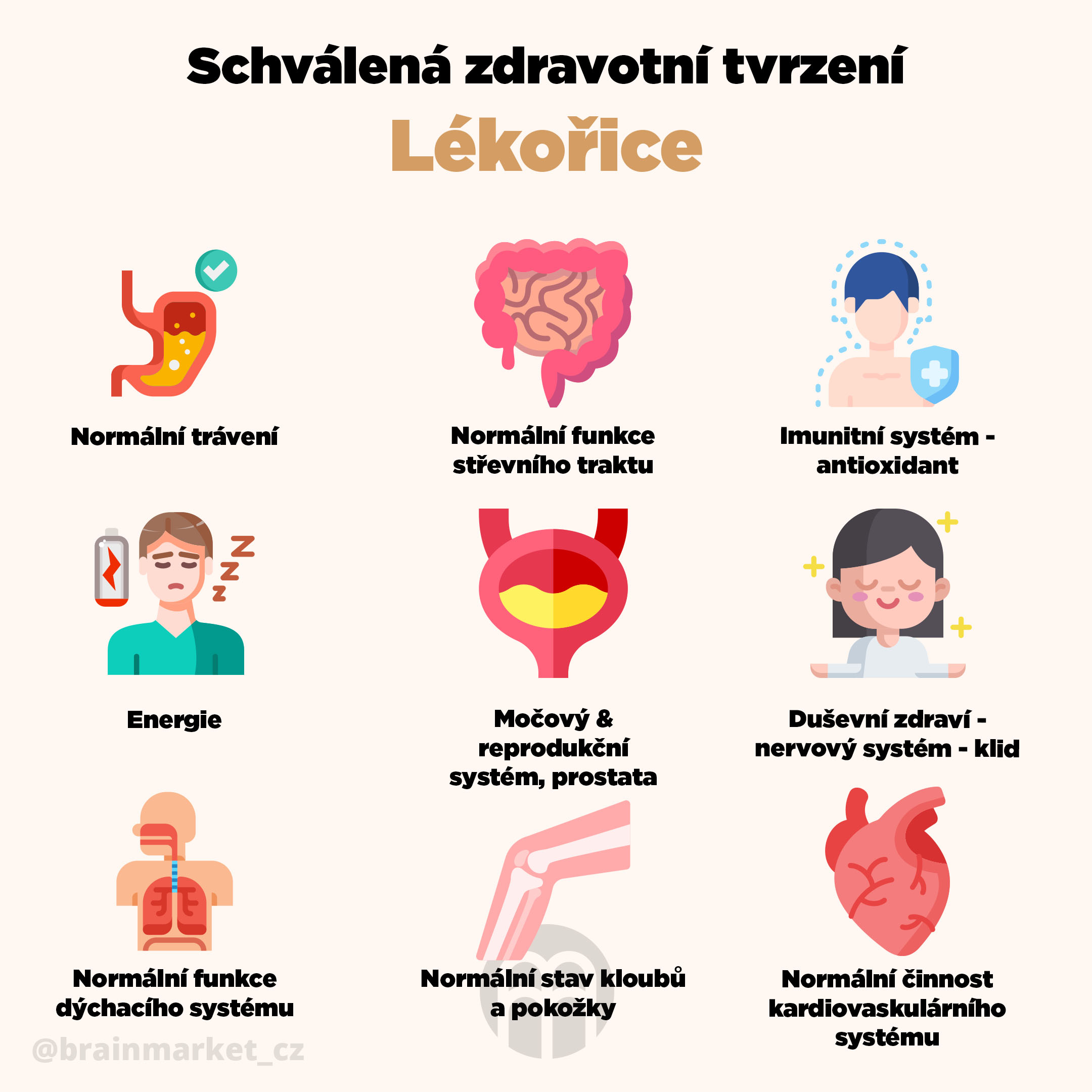 lekorice_infografika_brainmarket_cz