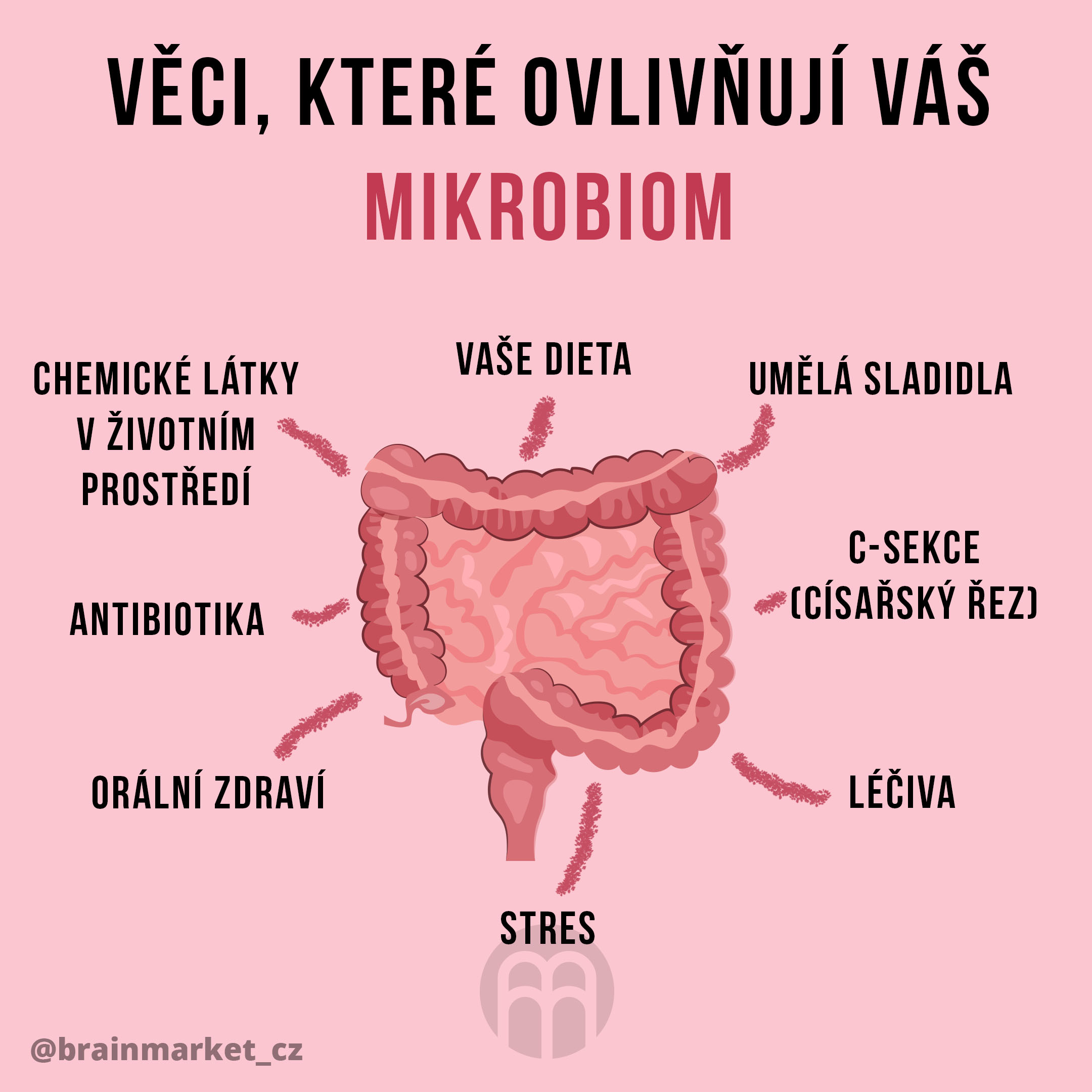 mikrobiom-infografika-brainmarket