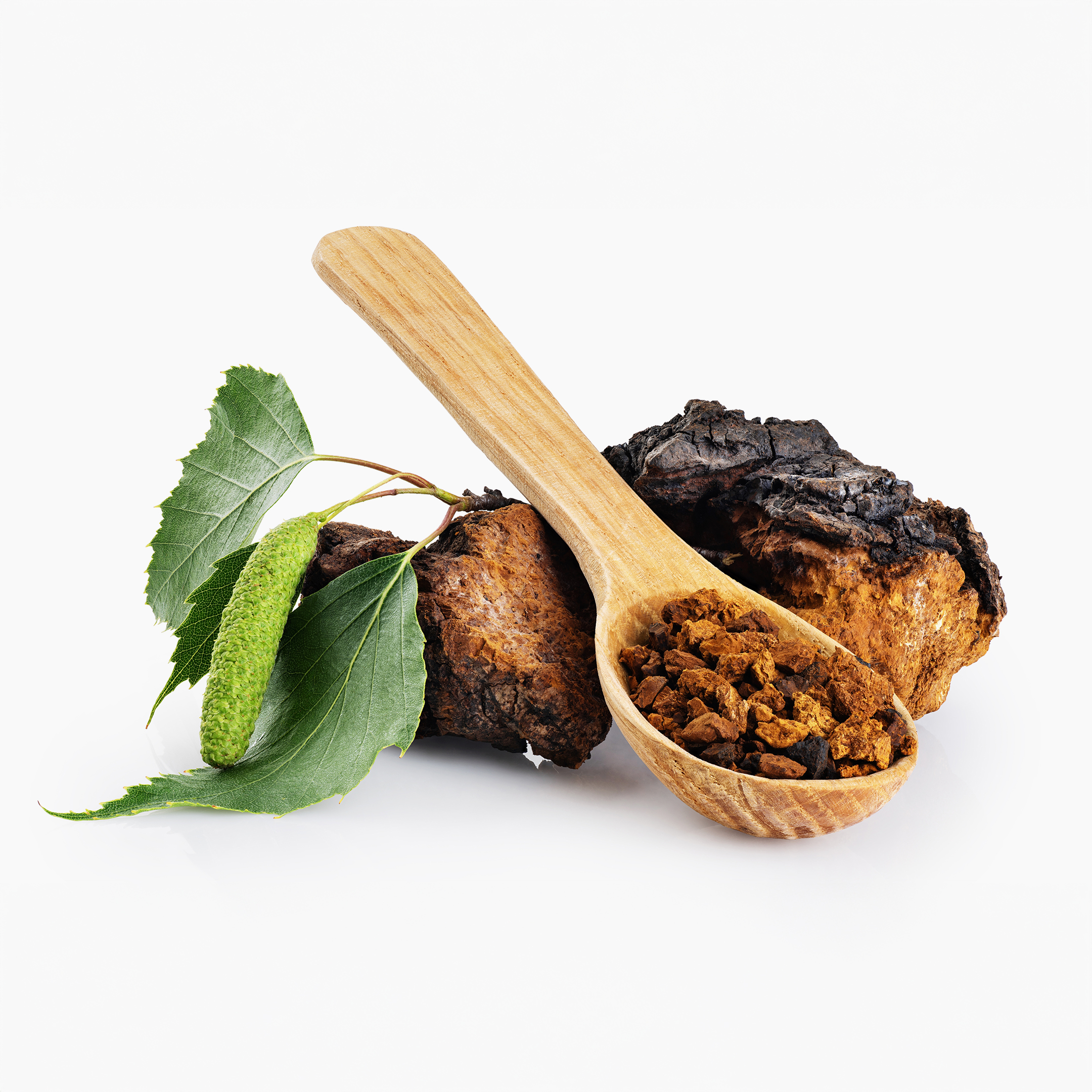 chaga