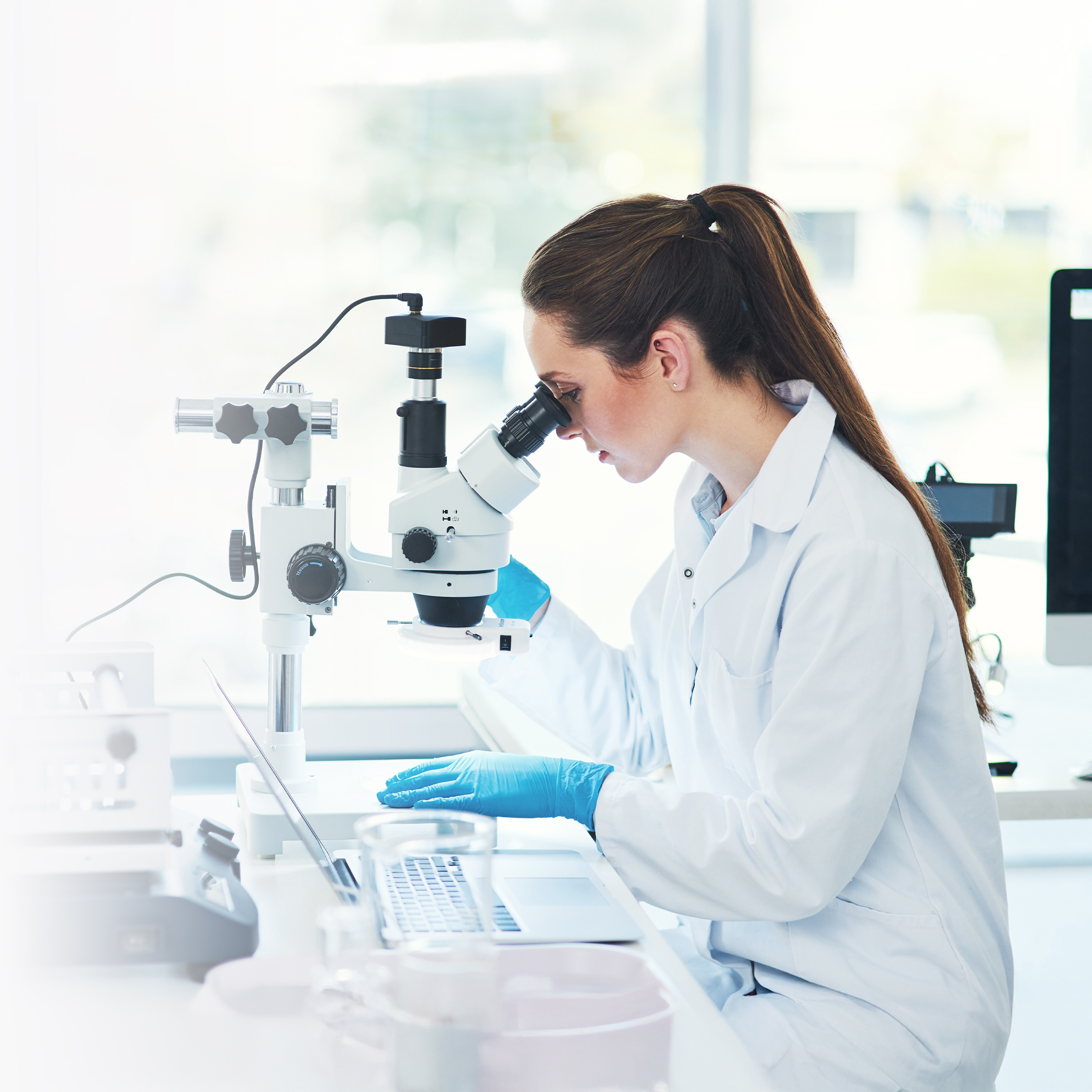lab