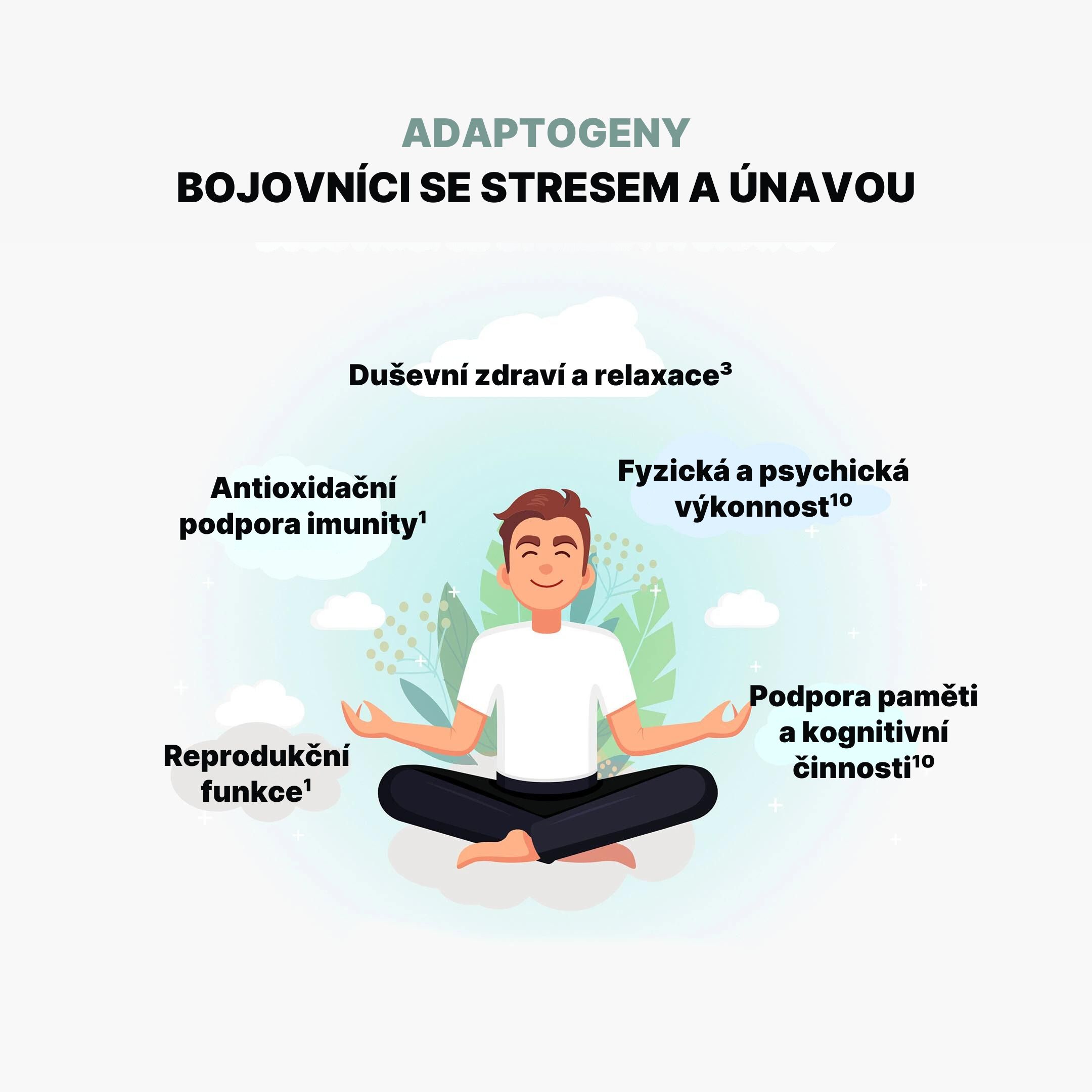 ADAPTOGENY BOJOVNÍCI SE STRESEM A ÚNAVOU