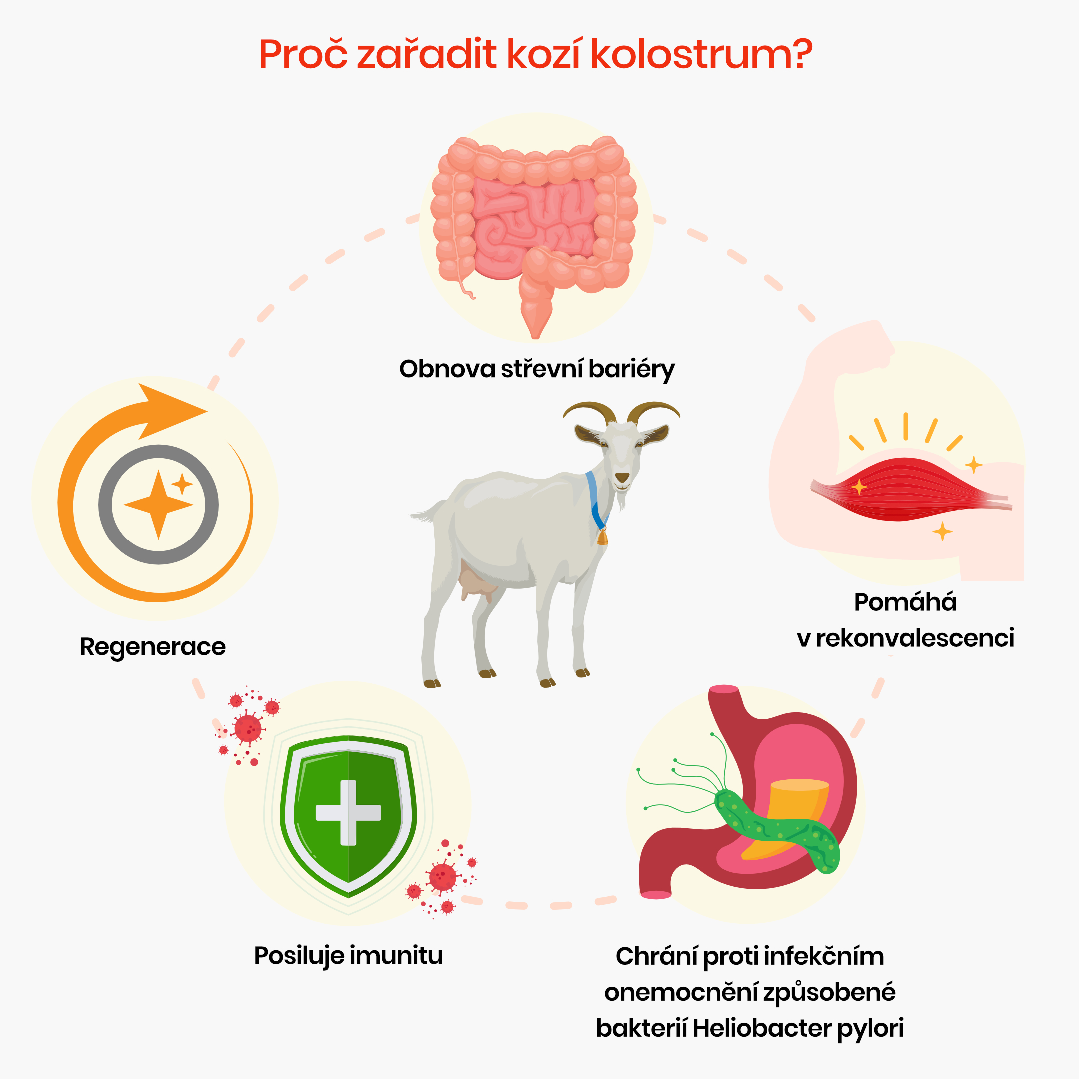 Proč_zařadit_kozí_kolostrum__inforgafika_produkt_cz-2