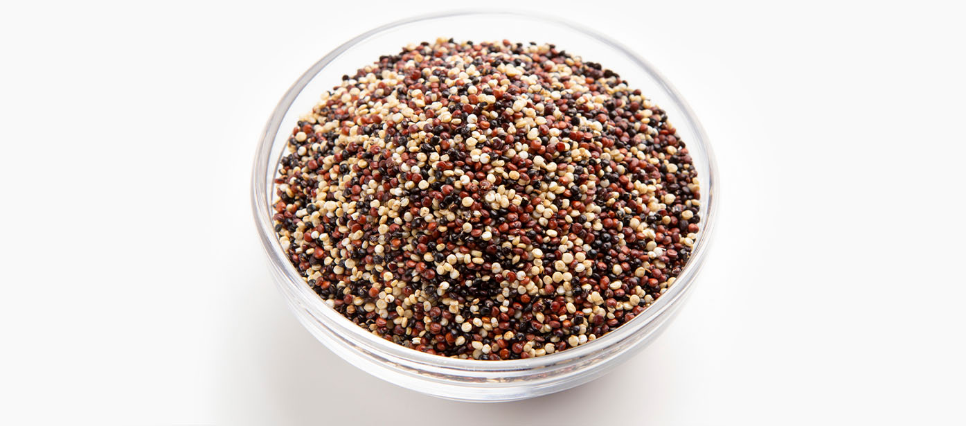 quinoa uvod