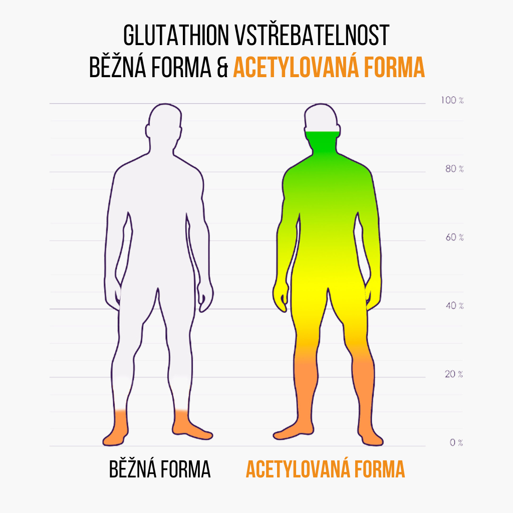 vstrebatelnost Glutathion