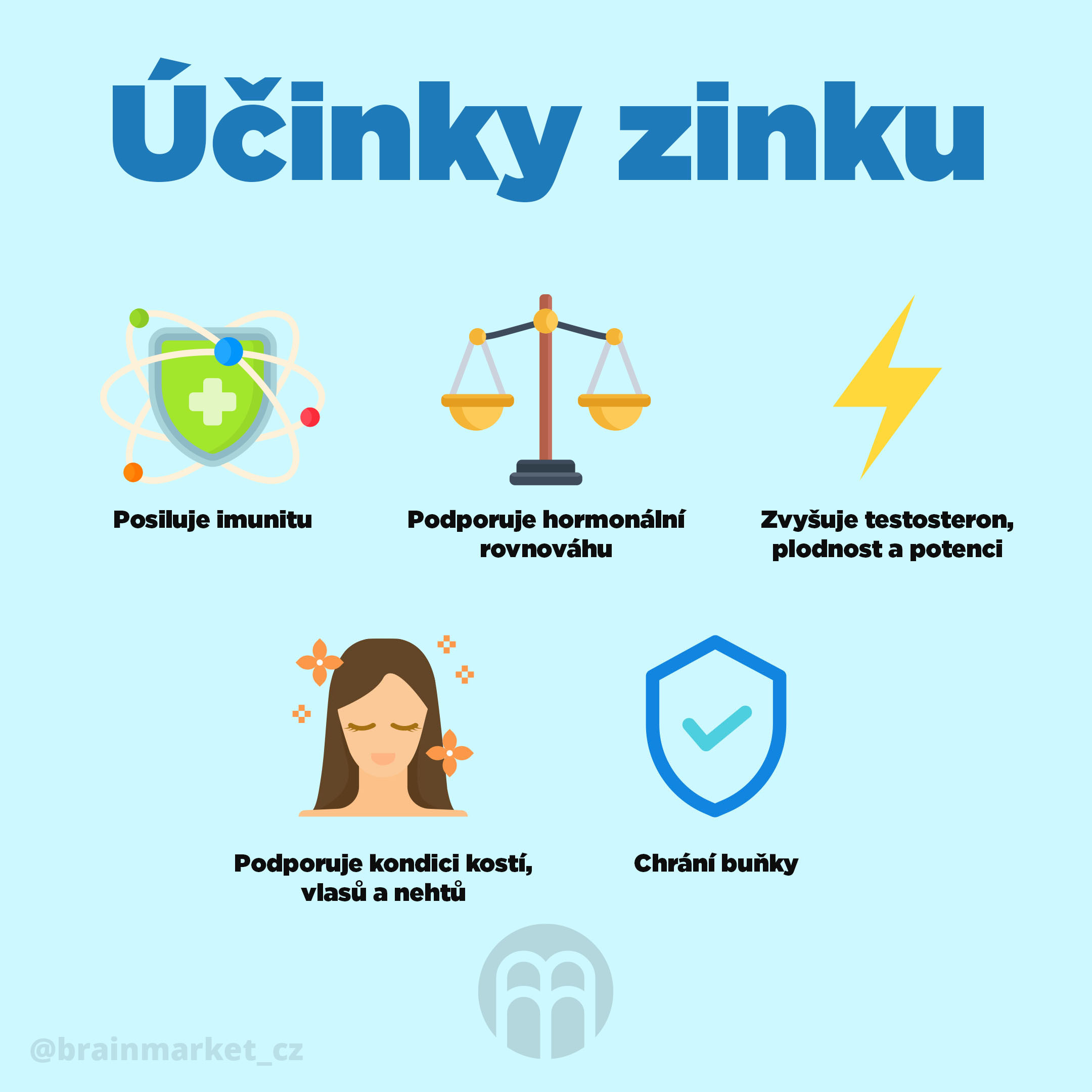 infografika%20zinek