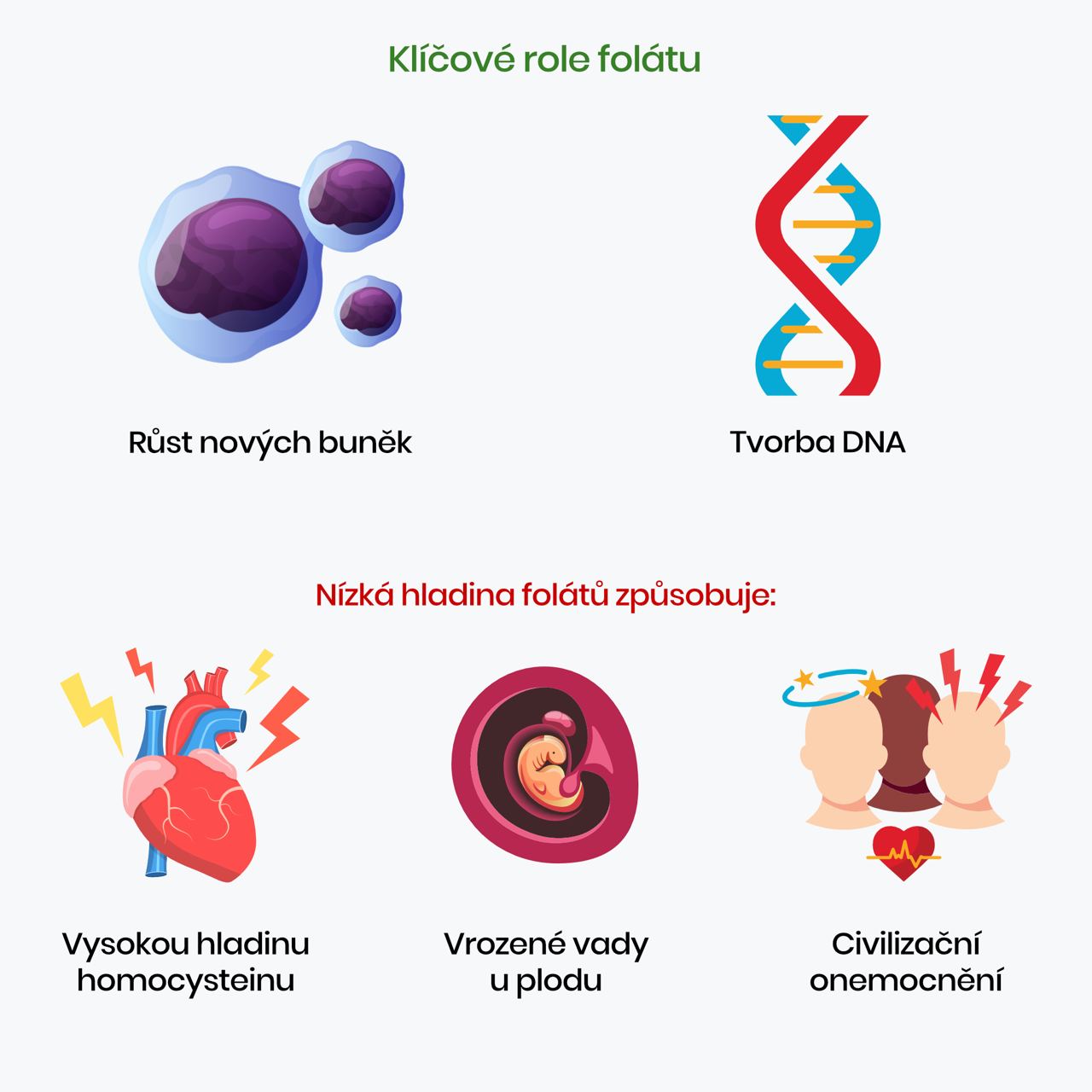 klicove role folatu