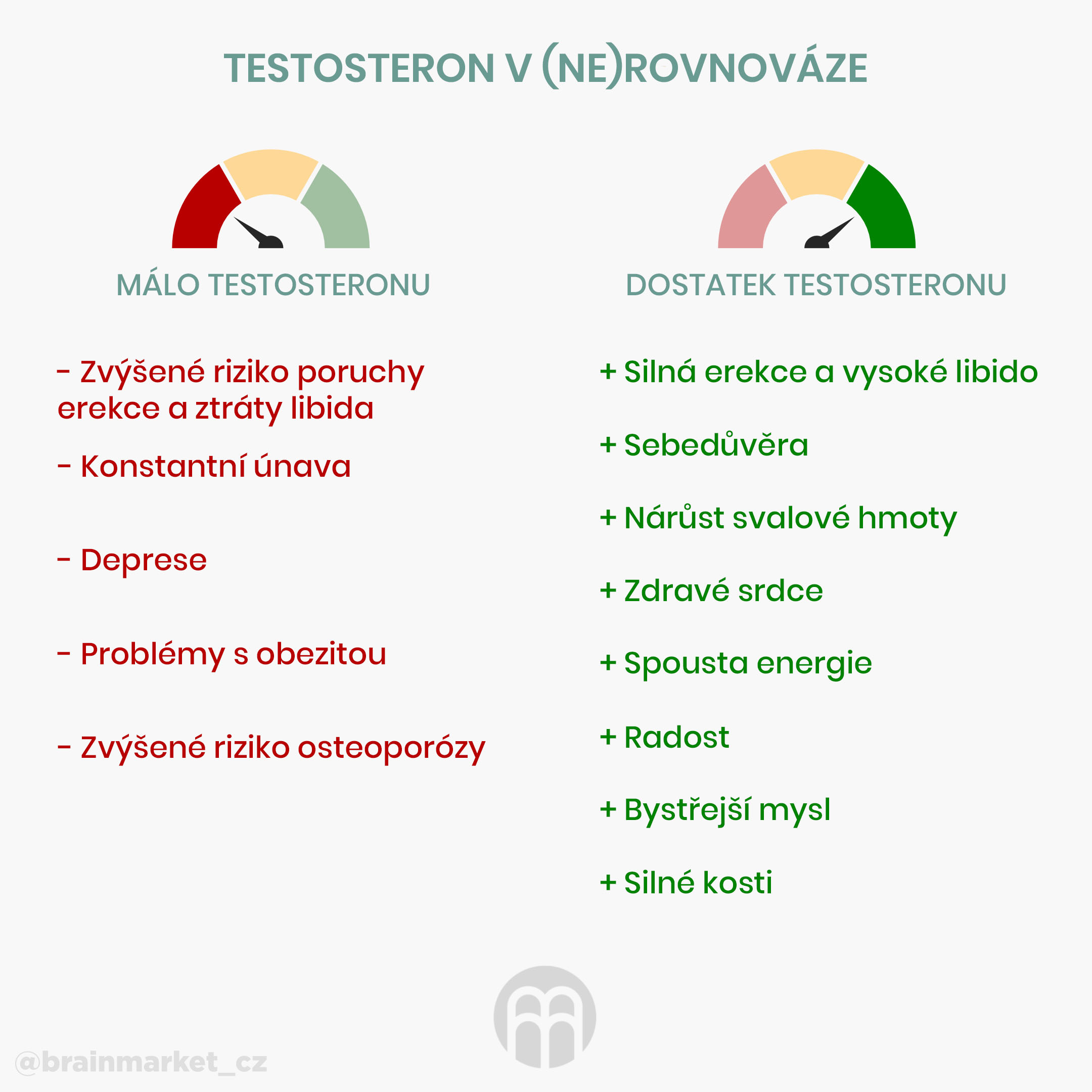 test-infografika-produkt