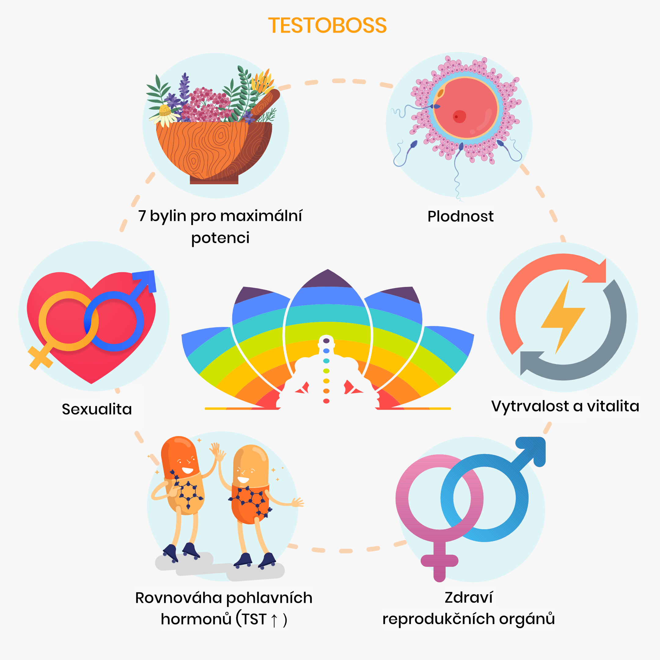 testoboss_inforgafika_cz