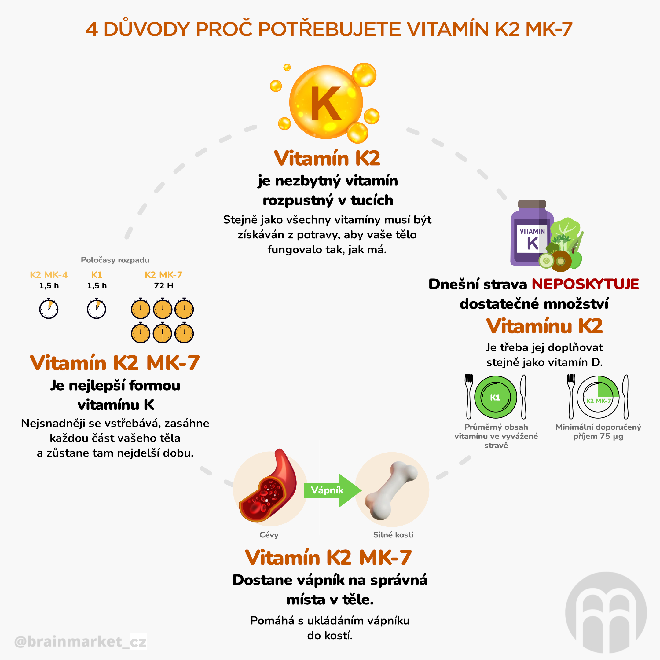 BrainMax Men Multivitamin 90 kapslí 6 duvody proc uzivat vitamin K2 MK-7_inforgafika_cz