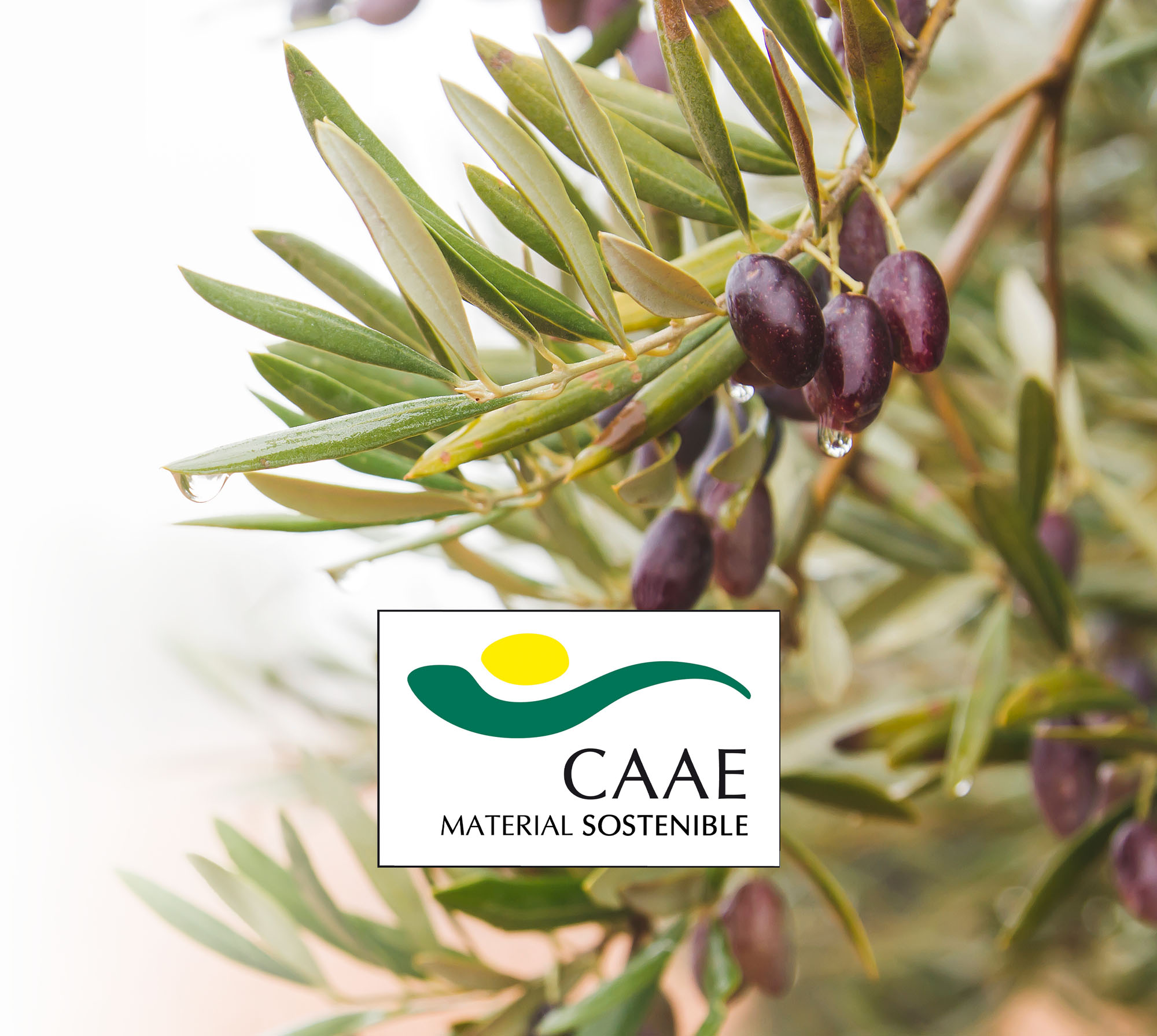 certifikace olivovy olej