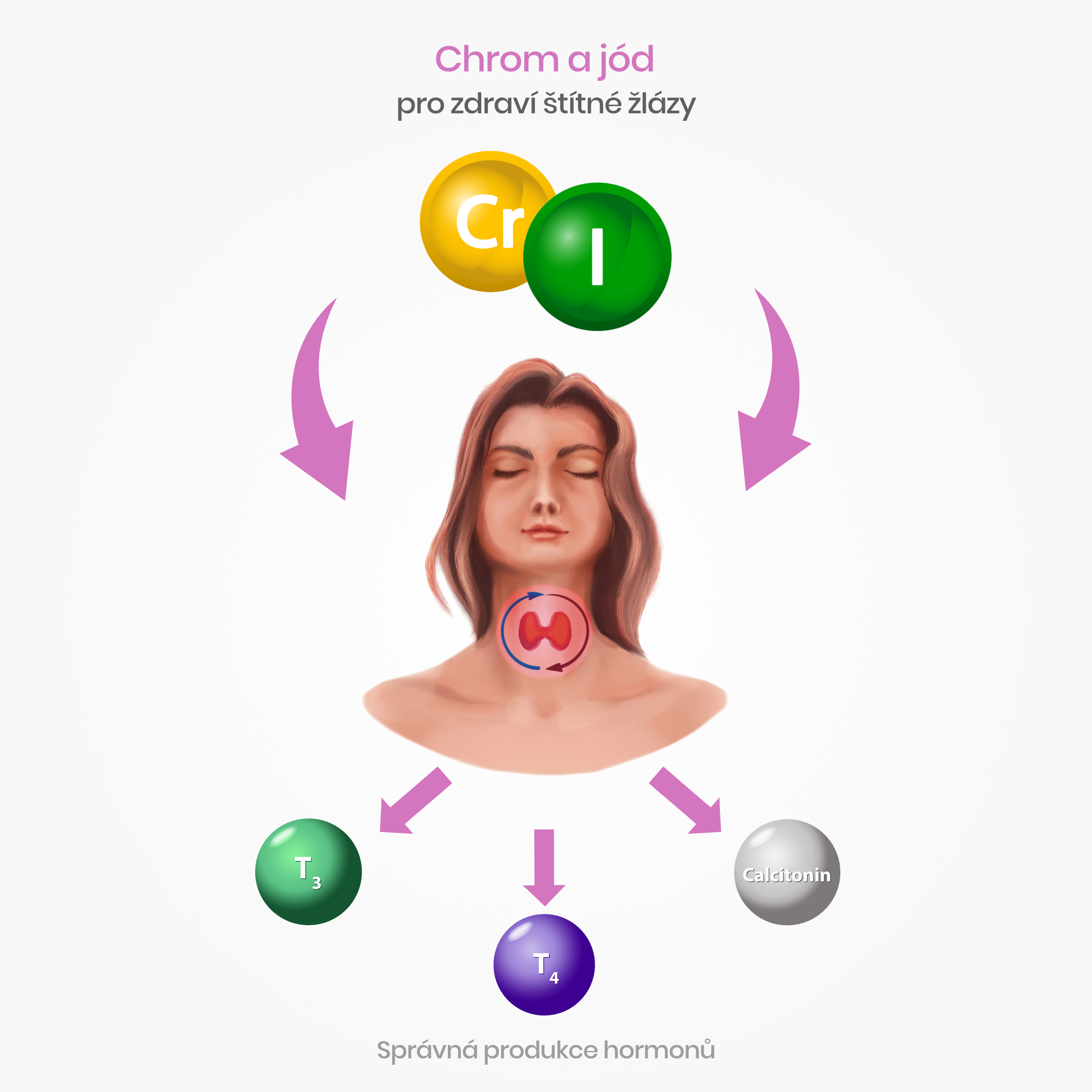 stitna zlaza_infografika_3b_cz