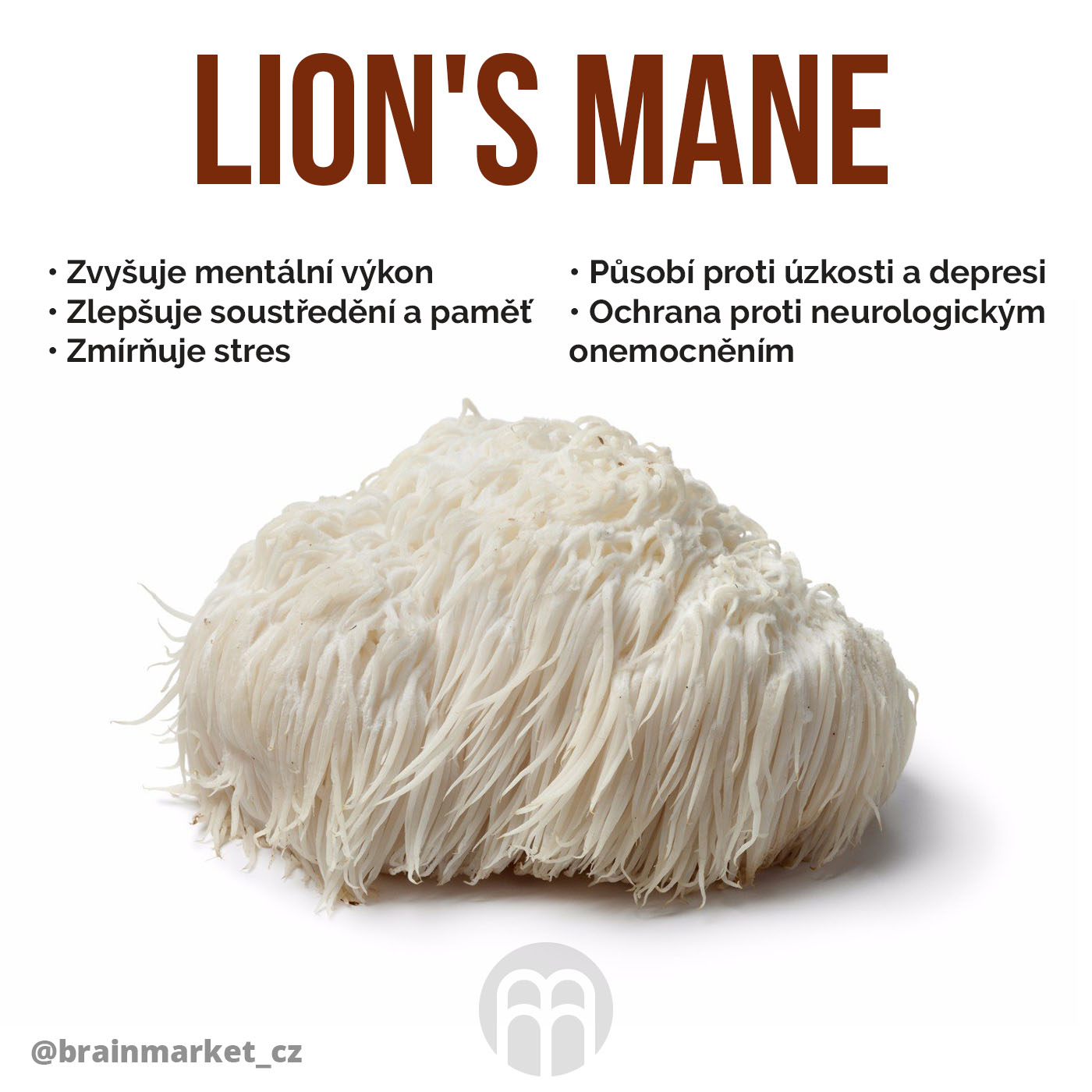 lions-mane