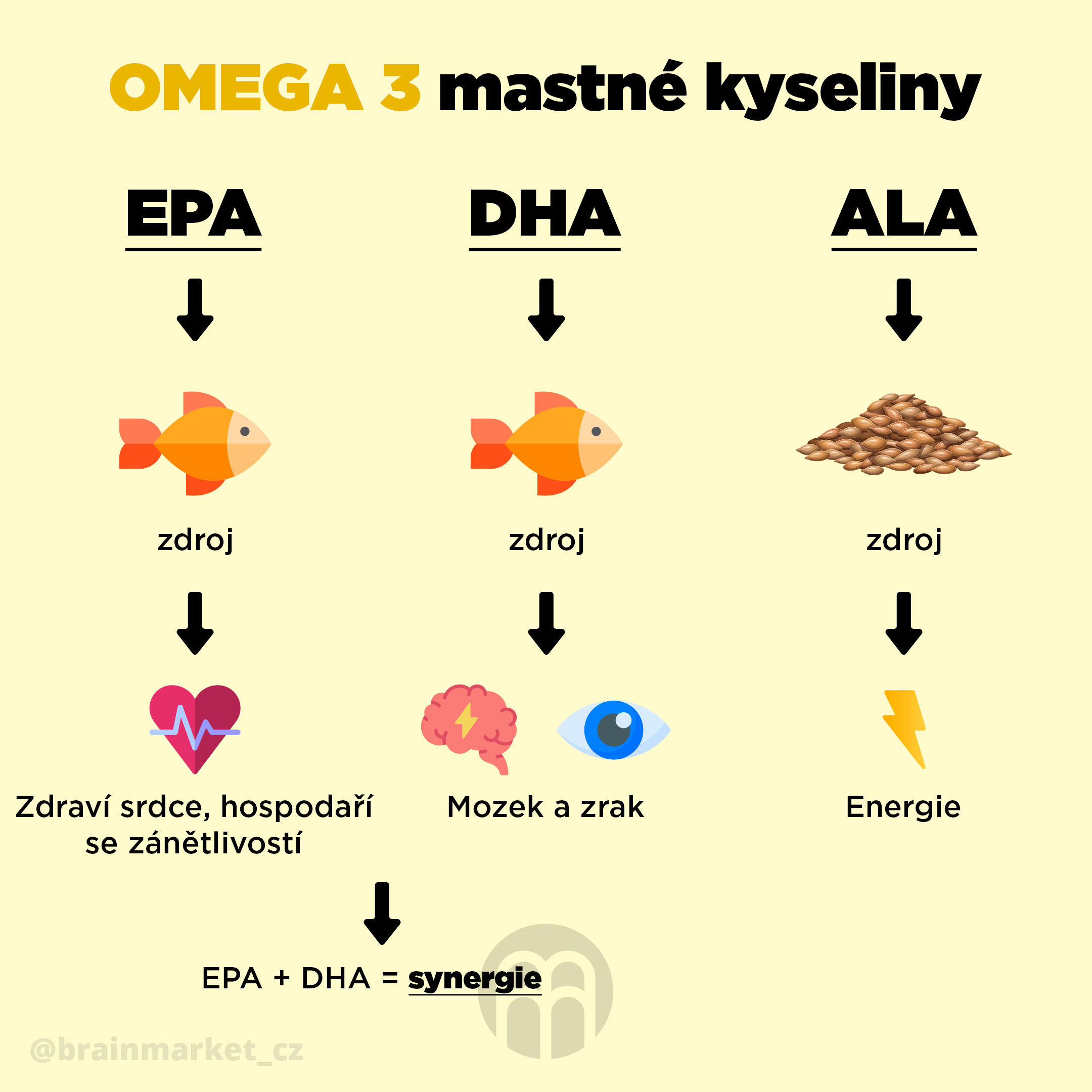 omega_3_infografika_brainmarket_CZ