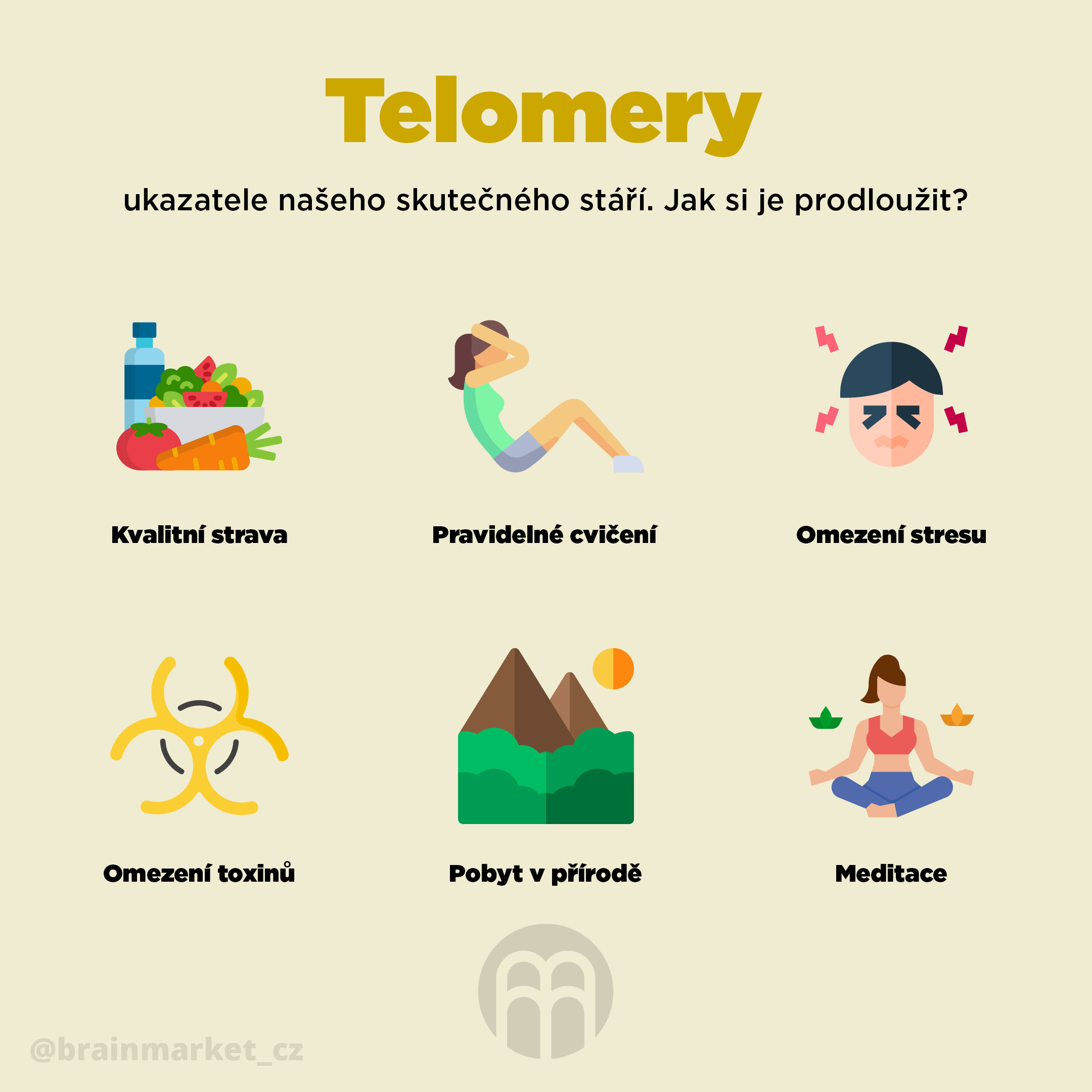 telomery_infografika_brainmarket_CZ