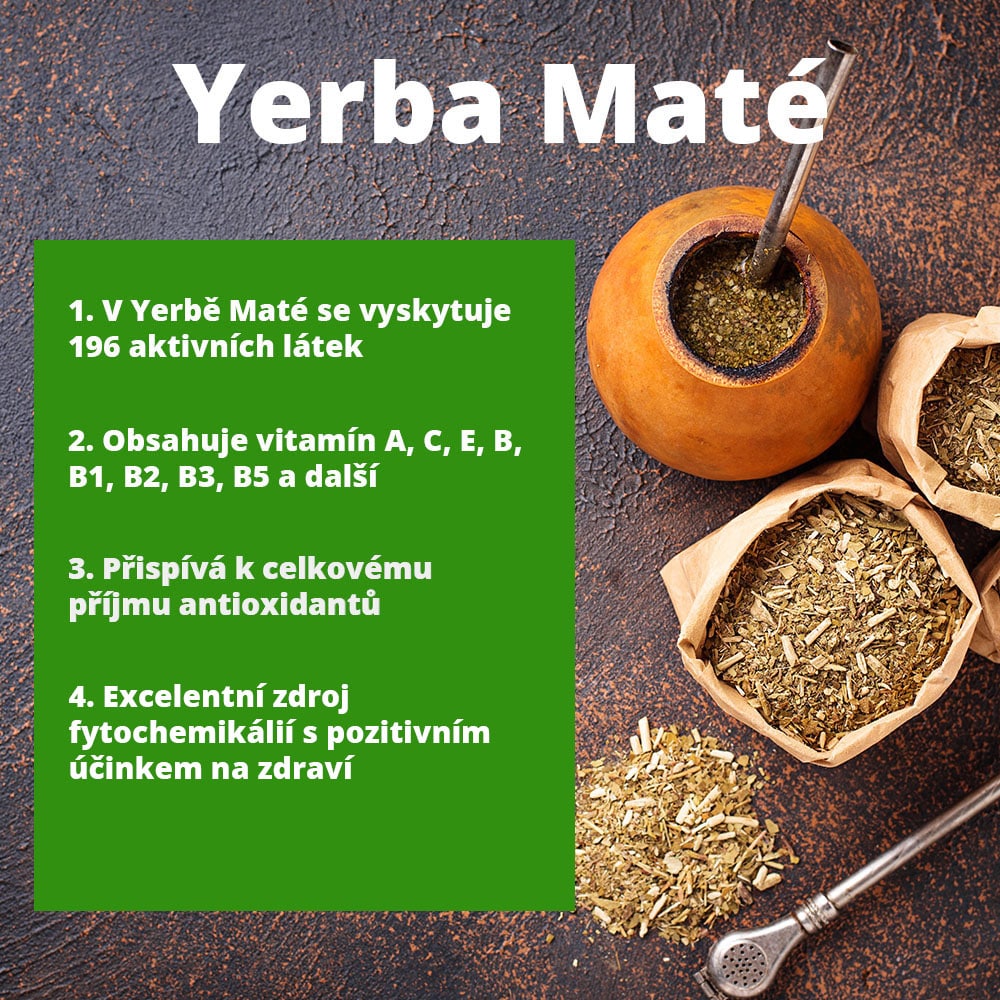 Co je to yerba maté?
