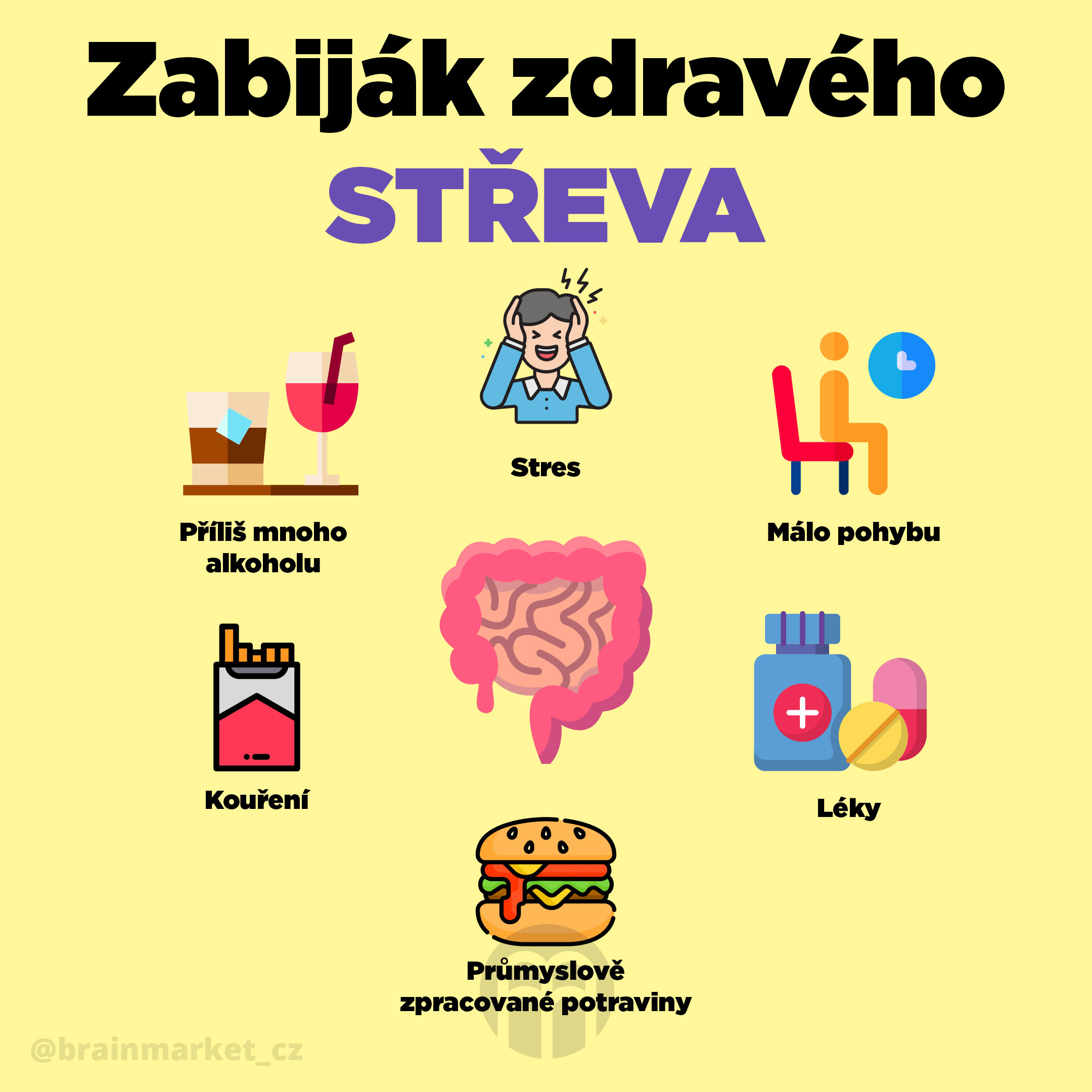 zabijak-zdraveho-streva