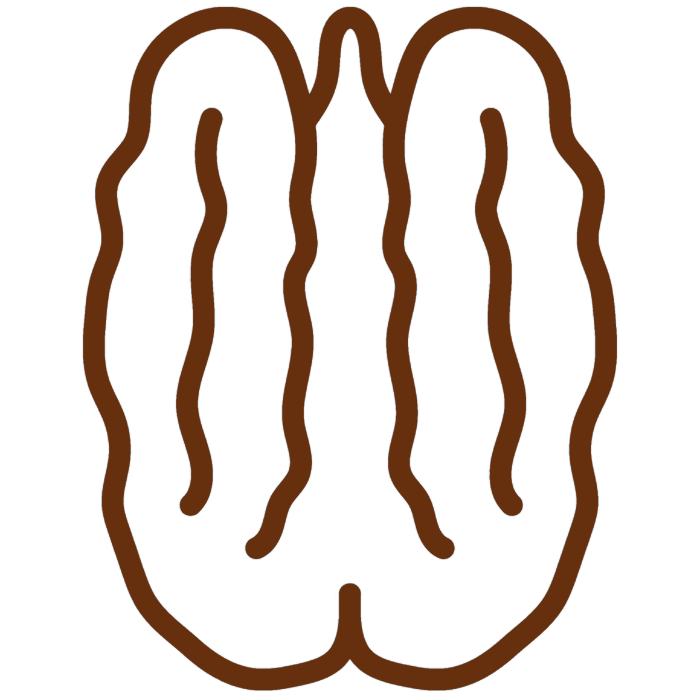 pecan ikonka