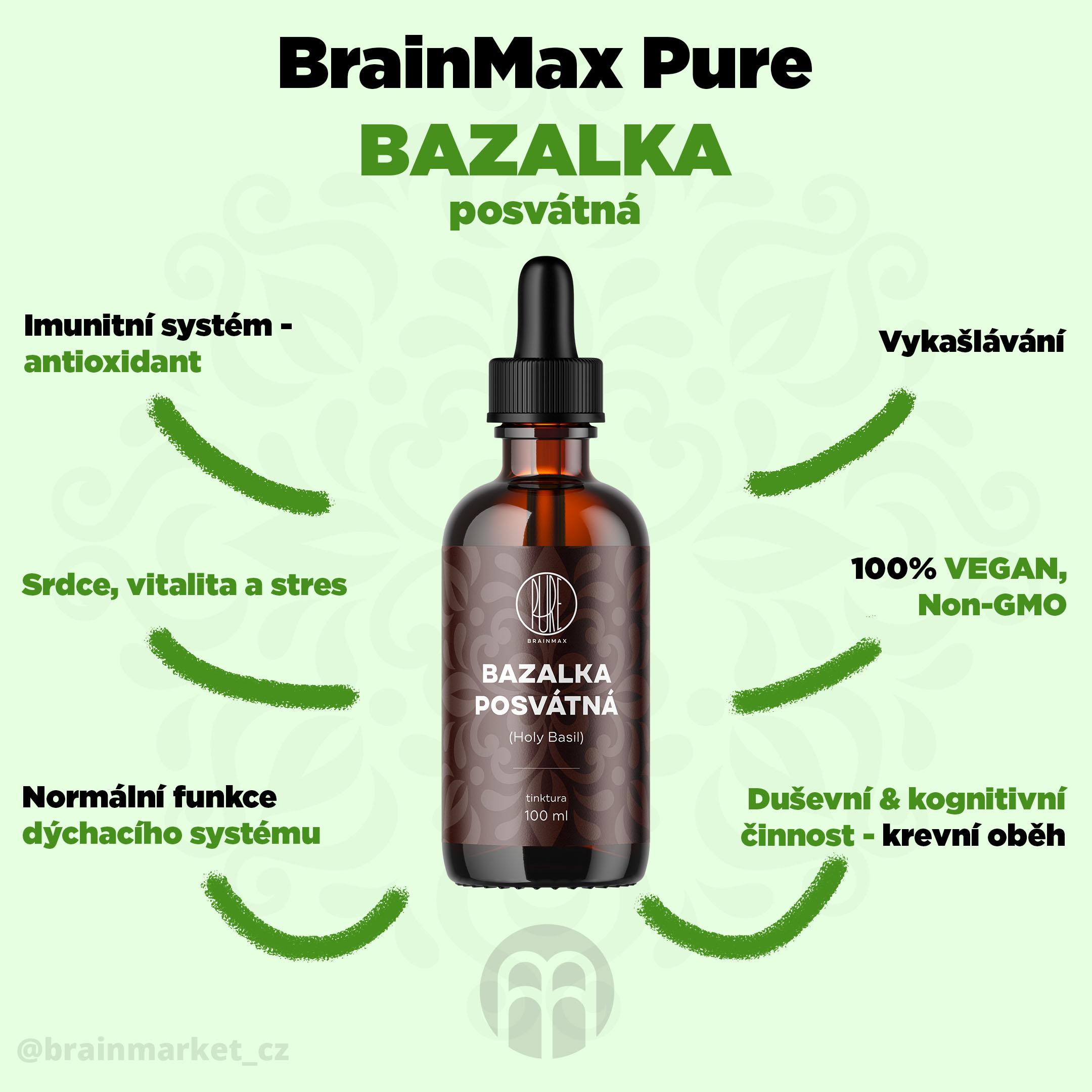 bazalka_infografika_brainmarket_cz
