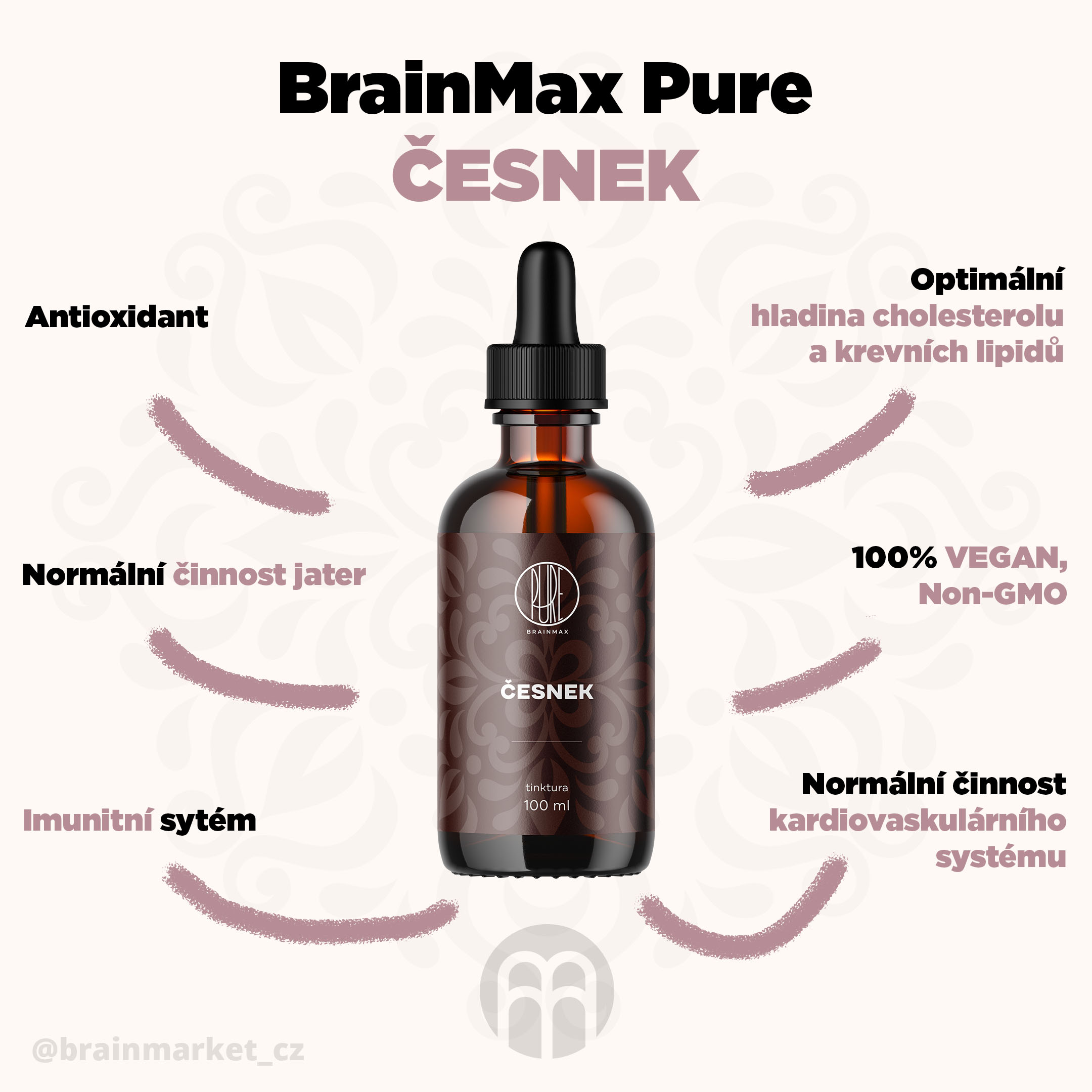 cesnek_infografika_brainmarket_cz