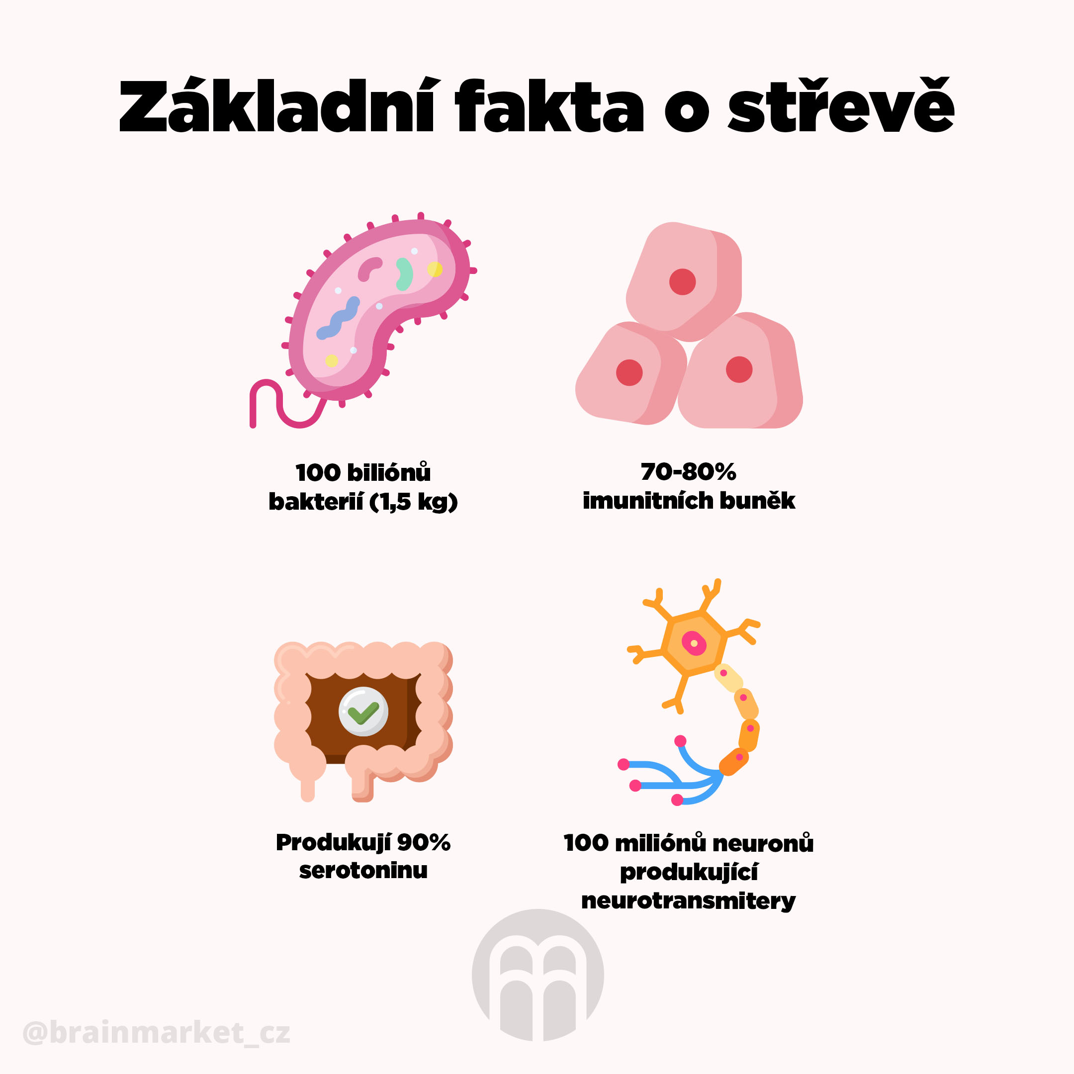 co-ridi-strevo-brainmarket-infografika-cz