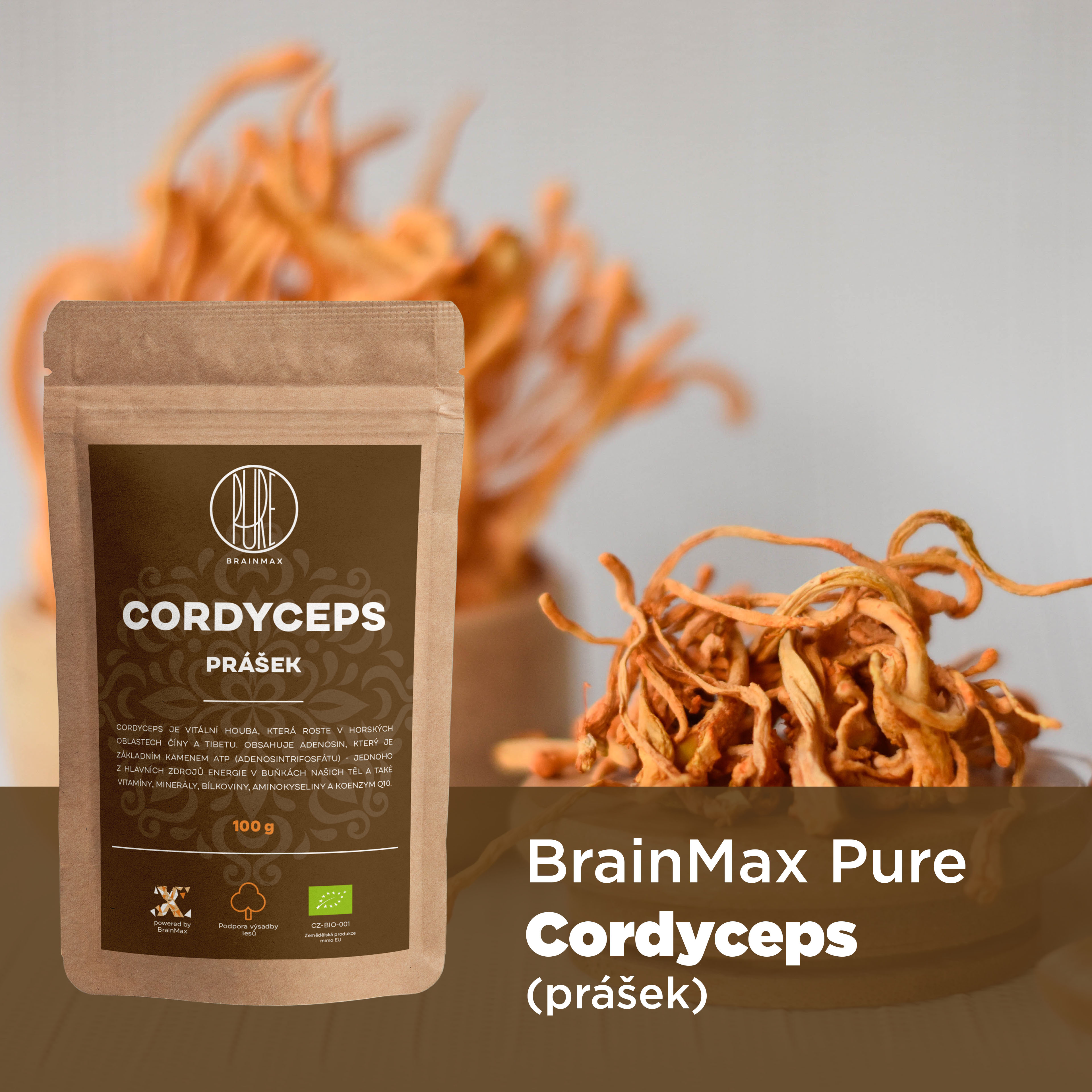 cordyceps_infografika_brainmarket_cz