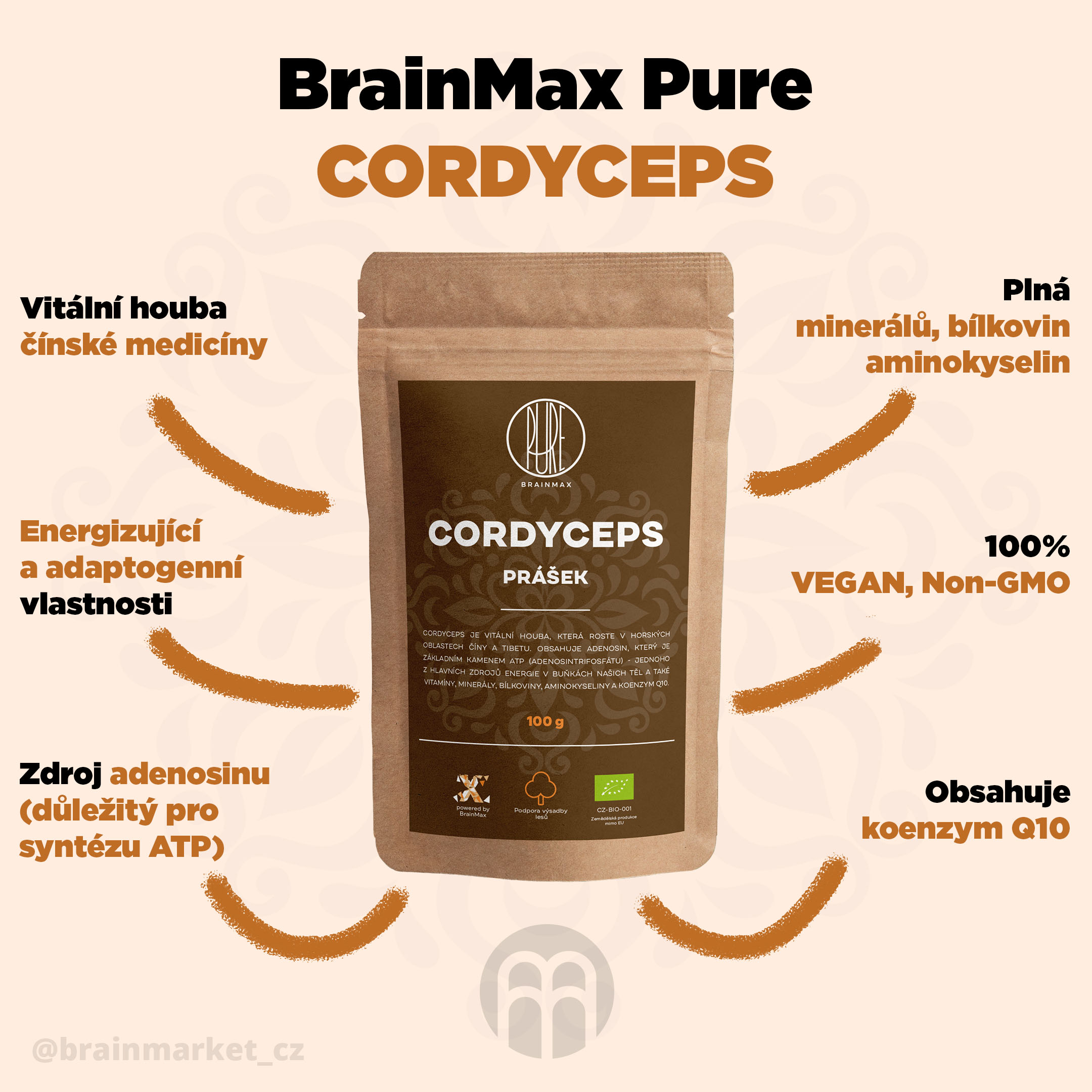 cordyceps_pavucina_infografik_brainmarket_cz