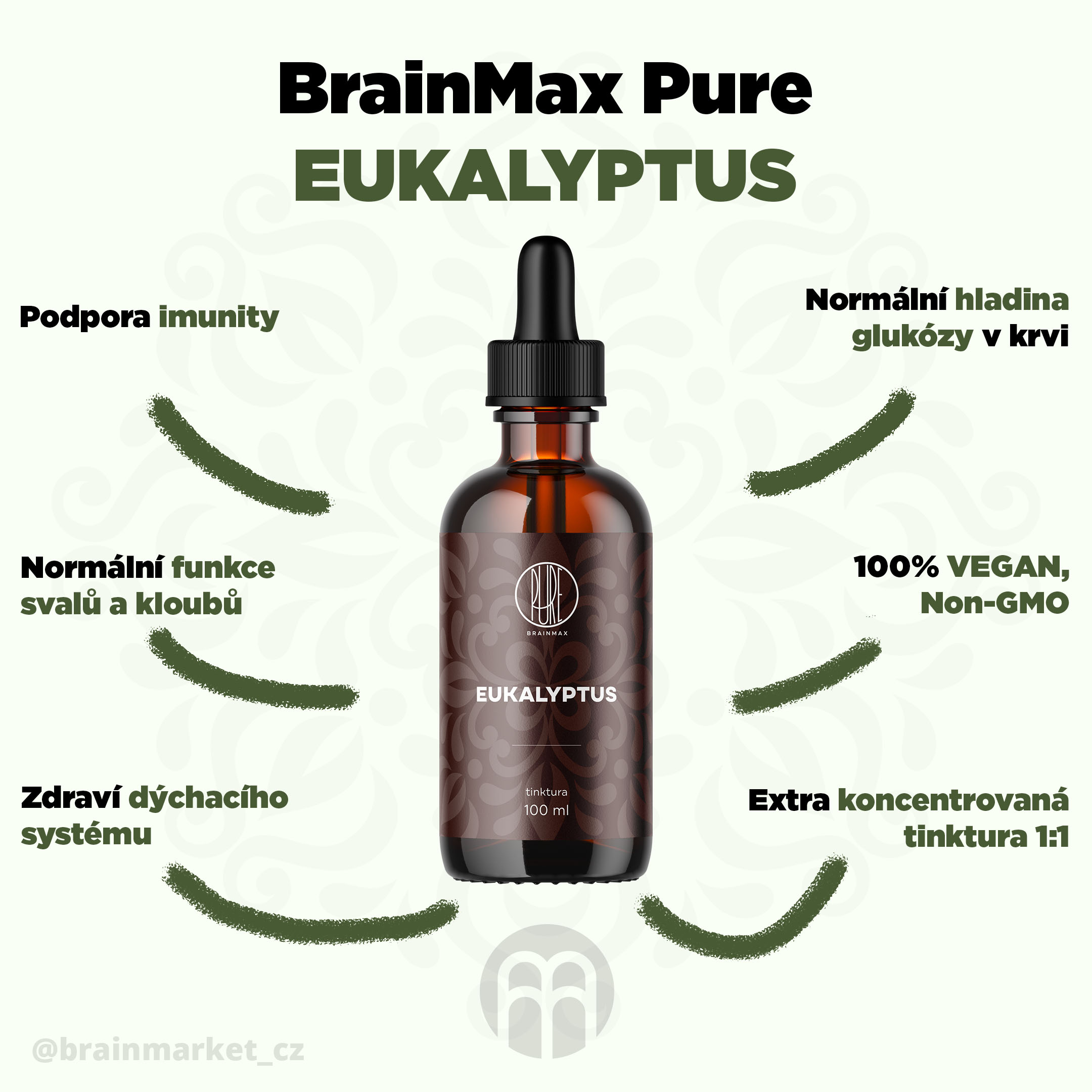 eukalyptus_infografika_brainmarket_cz