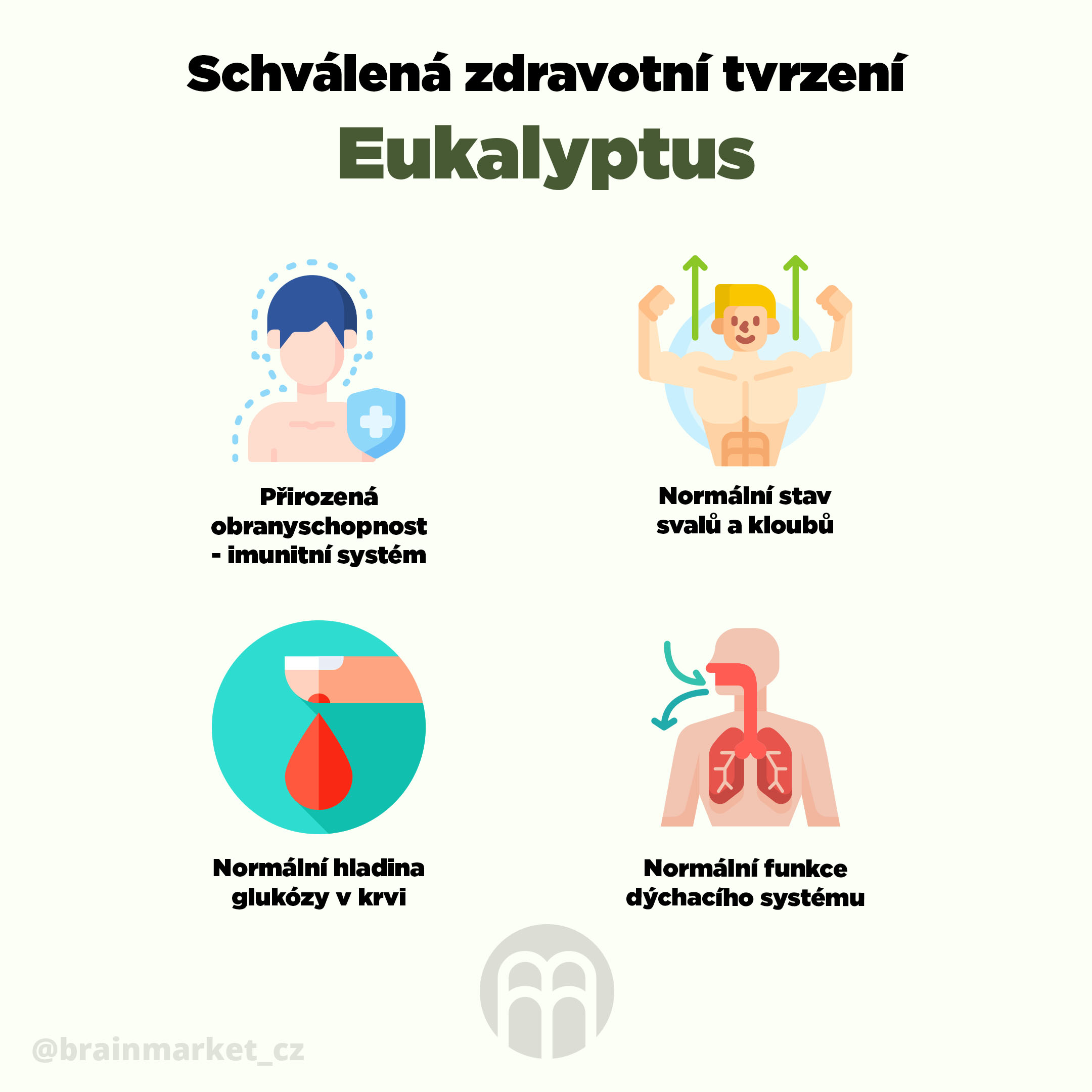 eukalyptus_infografika_brainmarket_cz_2
