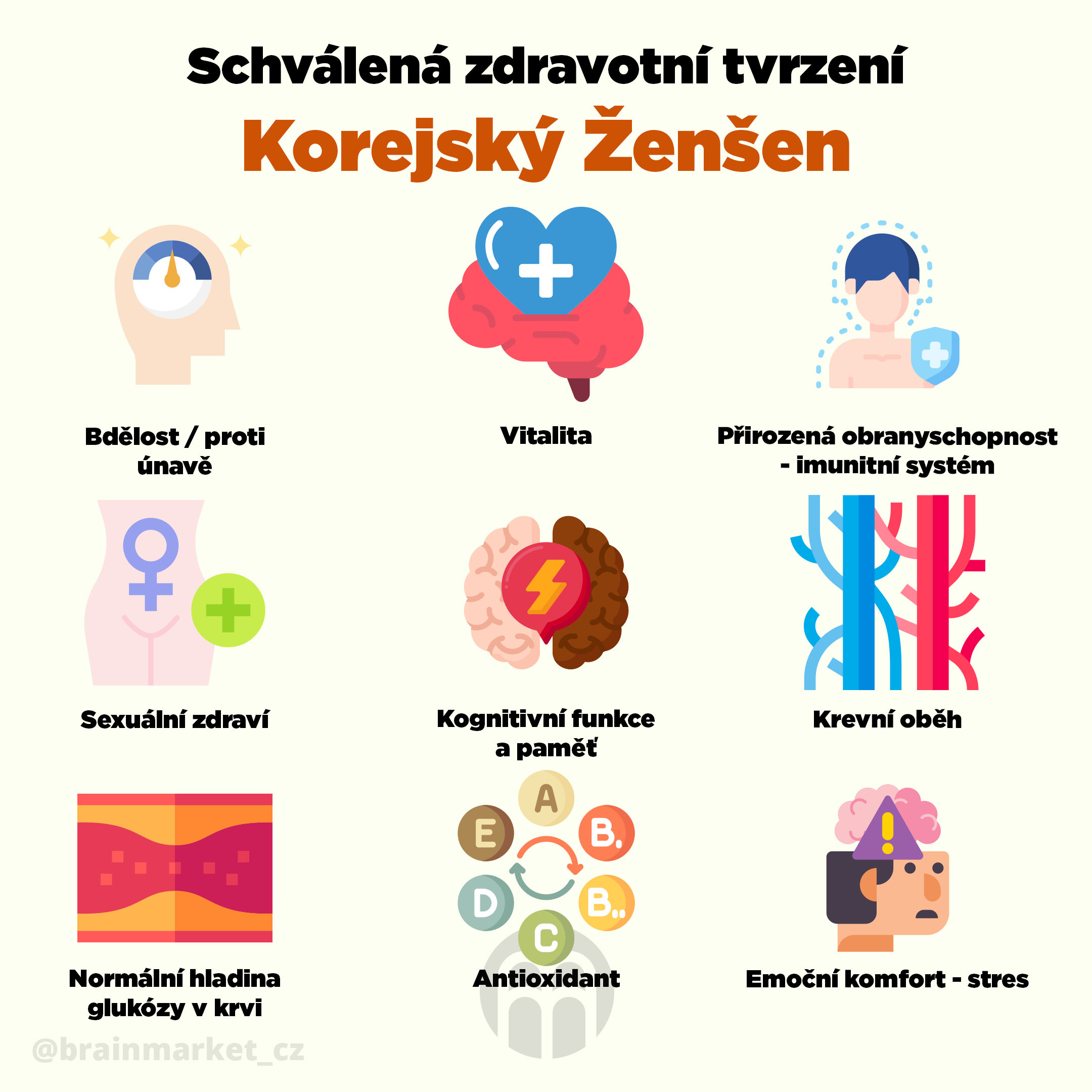 korejsky_zensen_infografika_brainmarket_cz_1