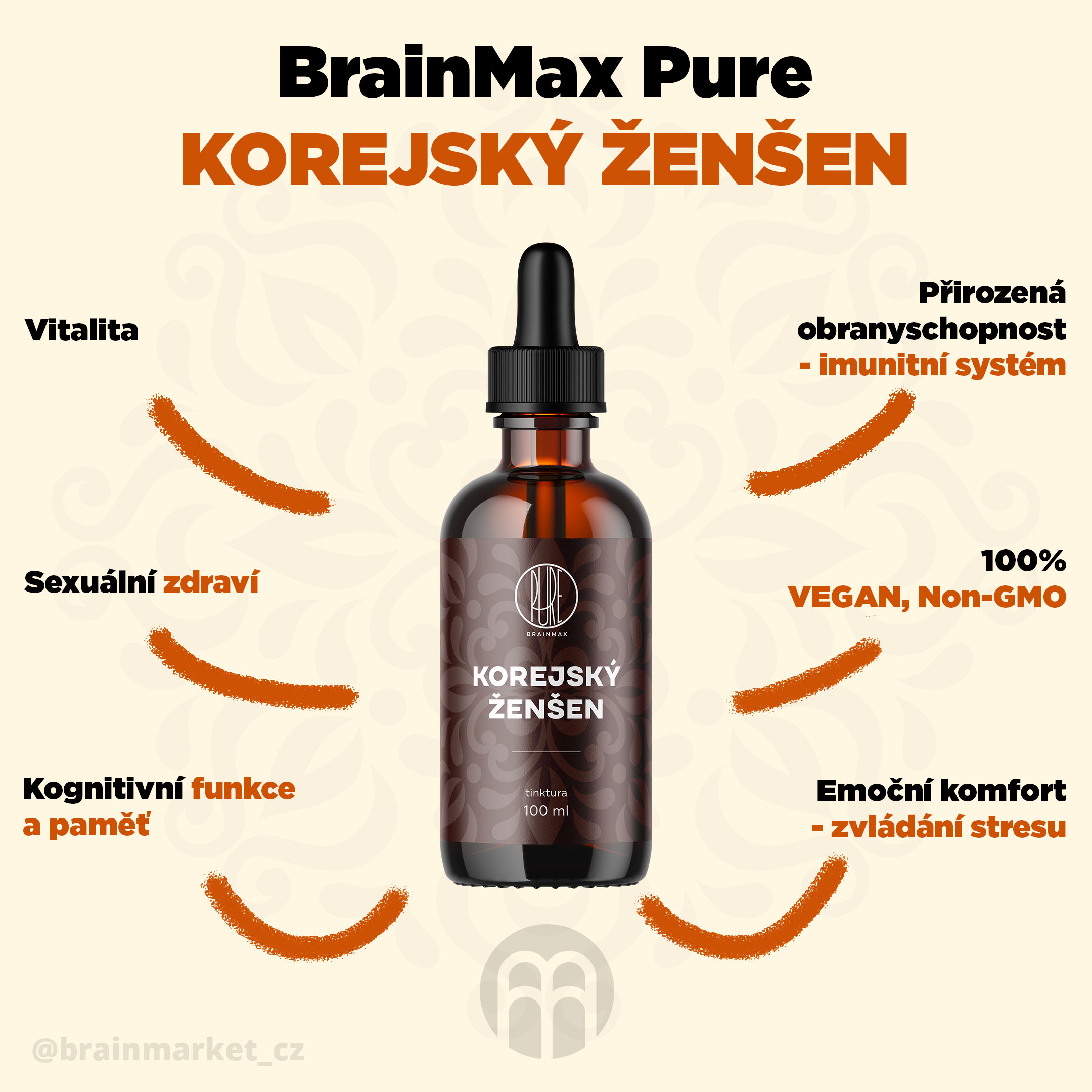korejsky_zensen_pavucina_infografika_brainmarket_cz