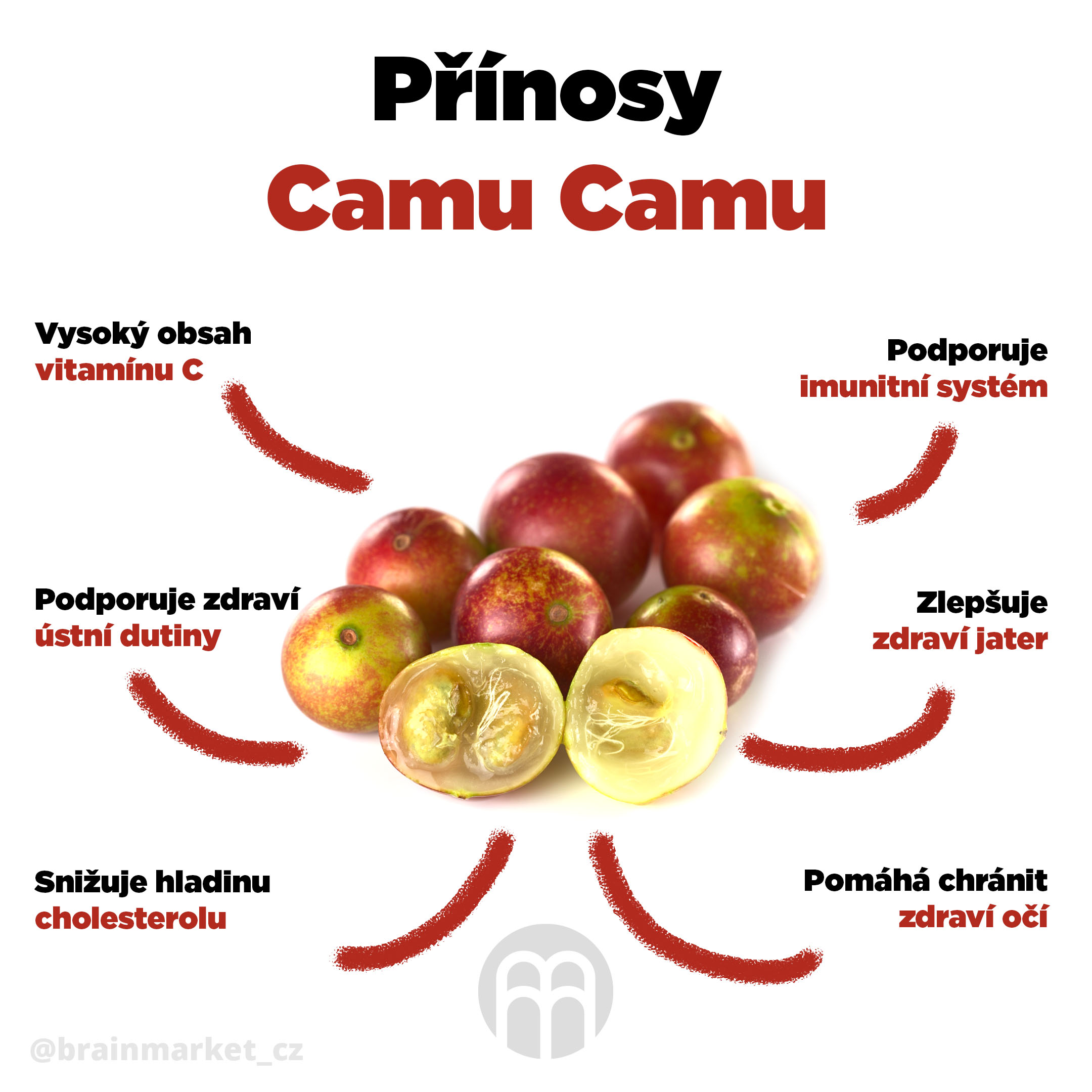 prinosy-camu-camu-infografika-brainmarket-cz